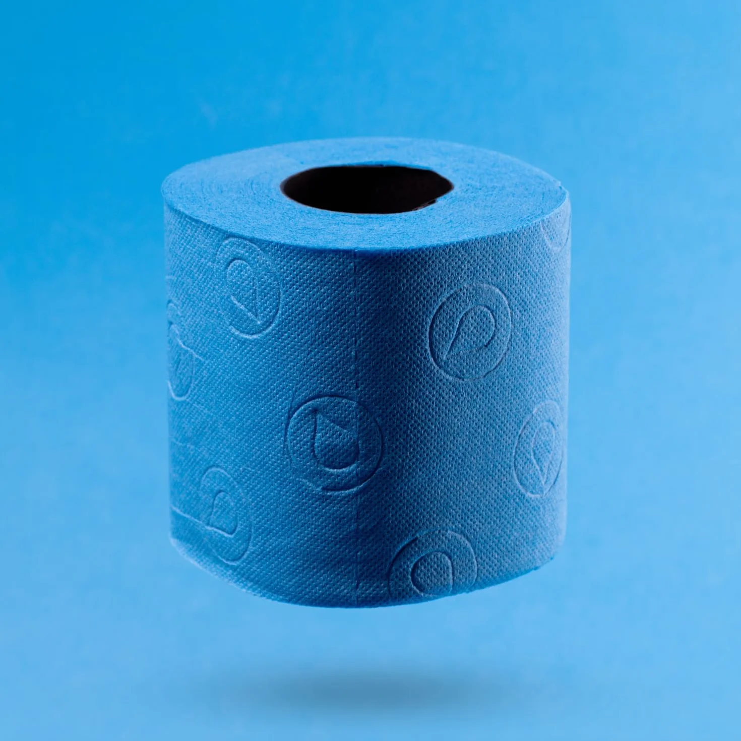 Renova Blue Toilet Paper 6 rolek