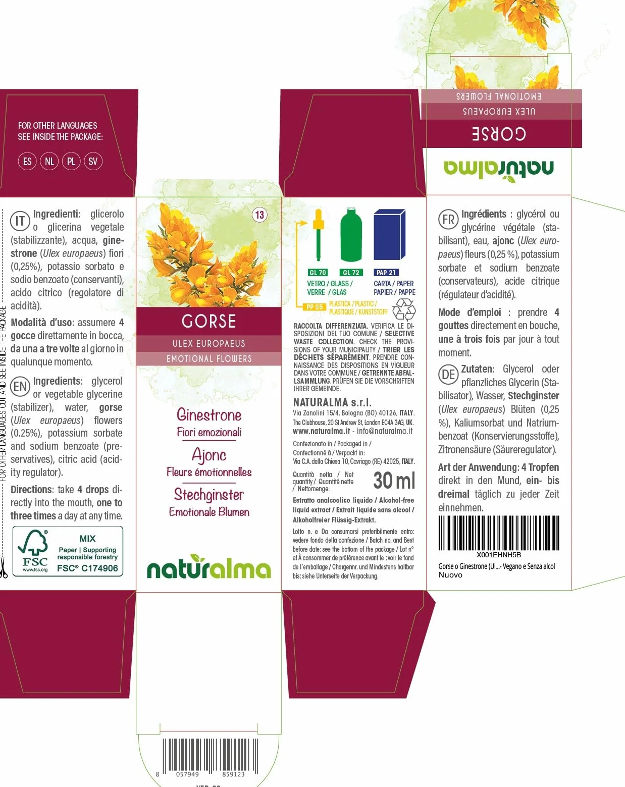 Gorse lub Kolcolist zachodni (Ulex europaeus) Kwiaty emocji lub Kwiaty Bacha Naturalma - Krople 30 ml - Płynny ekstrakt bezalkoholowy - Esencje kwiatowe - Wegański