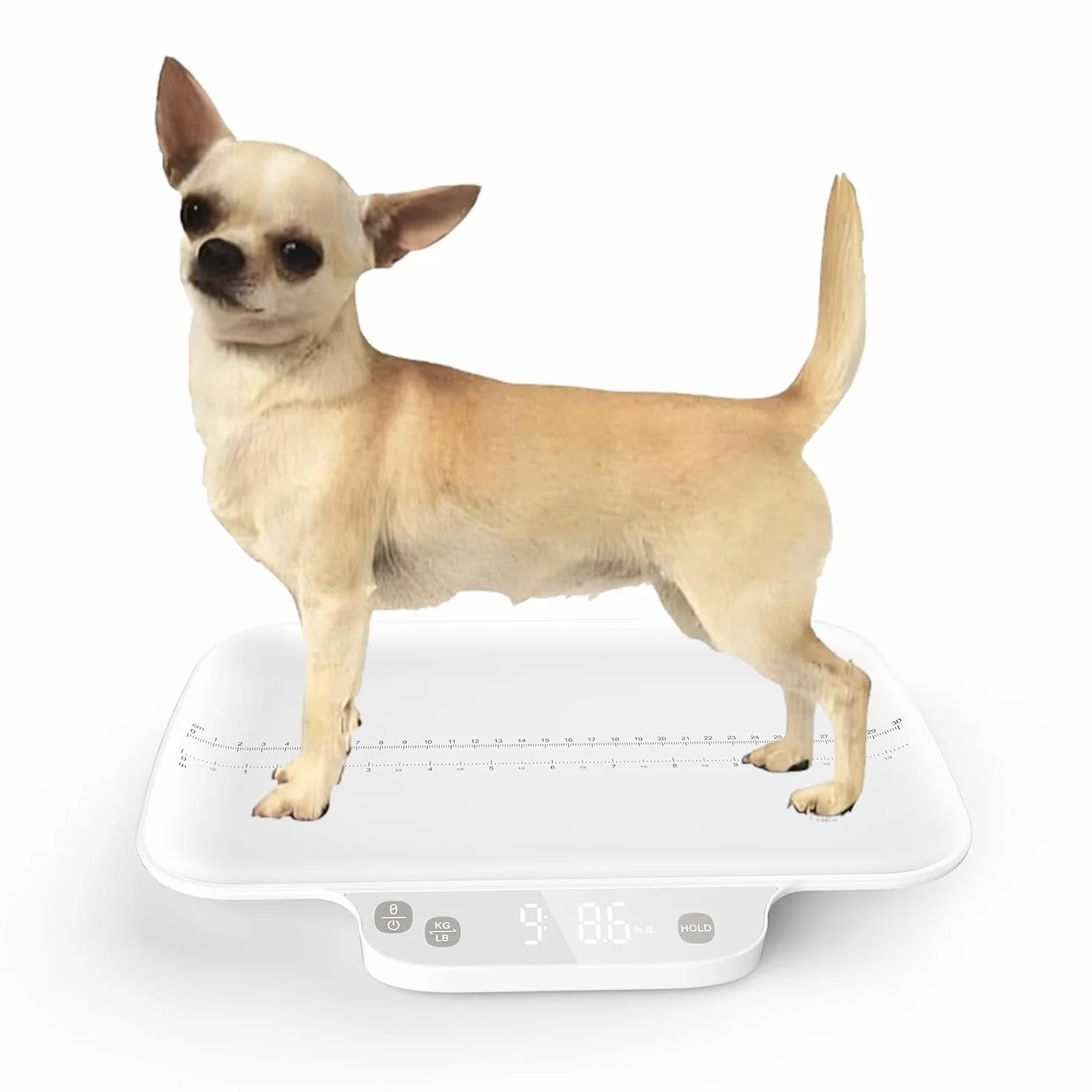 Waga dla małych zwierząt 15 kg, dokładność 1 g, dla kociąt, chihuahua, kotów