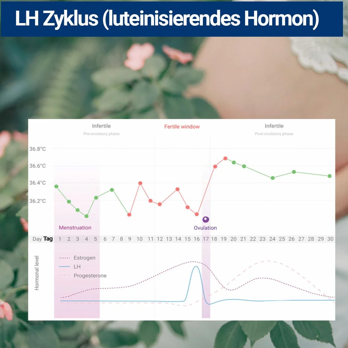 20 pasków testowych do owulacji – paski testowe LH do oznaczania owulacji – 25 mIU/ml – dokładność 99% – rozpoznawanie moczu – życzenia dziecka i monitorowanie cyklu dla kobiet