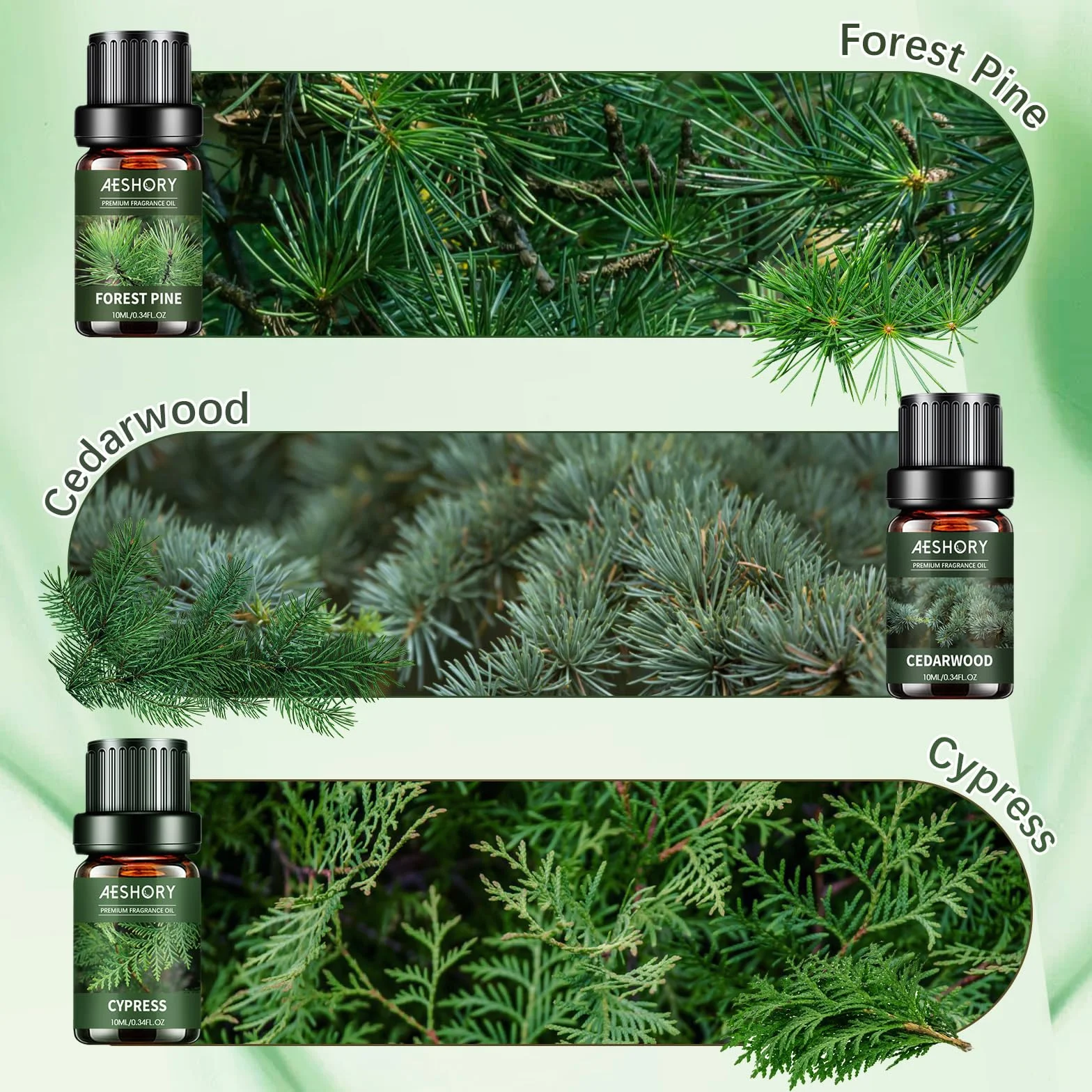 Aeshory 6 x 10ml Drzewny Zestaw Olejków Eterycznych Do Dyfuzorów, Aromaterapii, Nawilżaczy Powietrza I Wyrobu Świec – Drzewo Sandałowe, Cedrowe, Cyprysowe, Kadzidłowe, Tekowe, Sosnowe