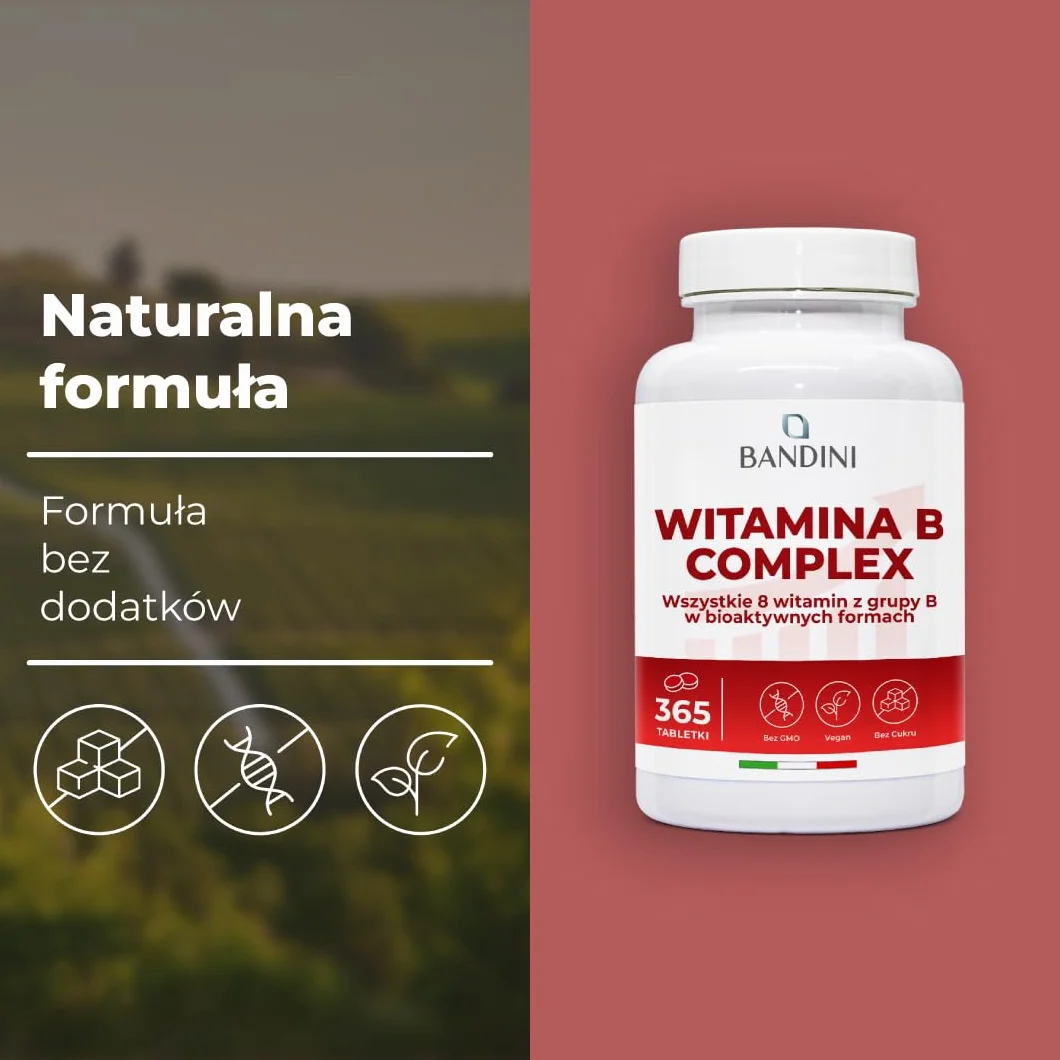 Bandini® Kompleks witamin B w dużych dawkach - 365 tabletek wegańskich (na 1 rok) - Kompleks witamin grupy B z kwasem foliowym, biotyną, B1, B2, B3, B5, B6, B12 - Kompleks witamin B bez GMO