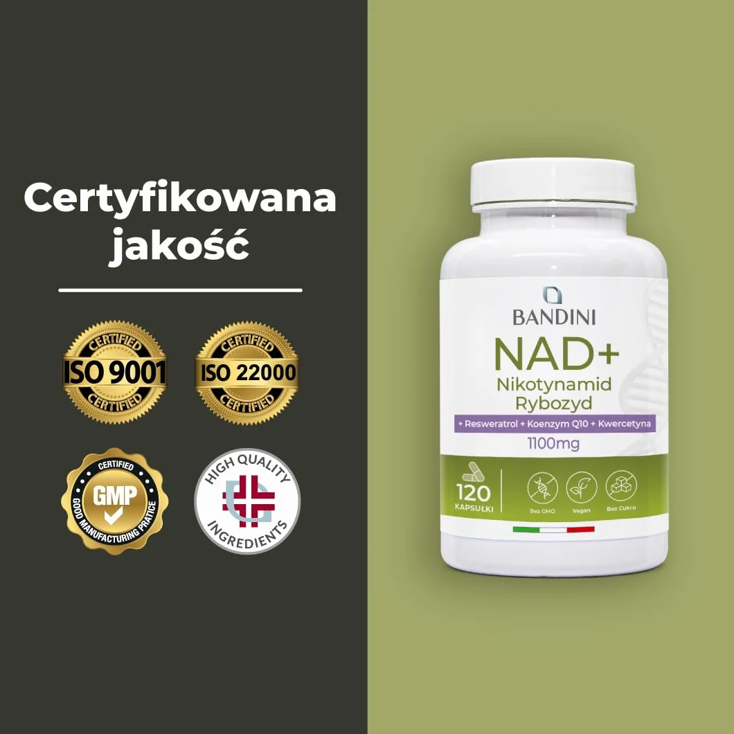 Bandini NAD+ Liposomalny 11100 mg 120 kapsułek wegańskich z kwercetyną resweratrolem koenzymem Q10