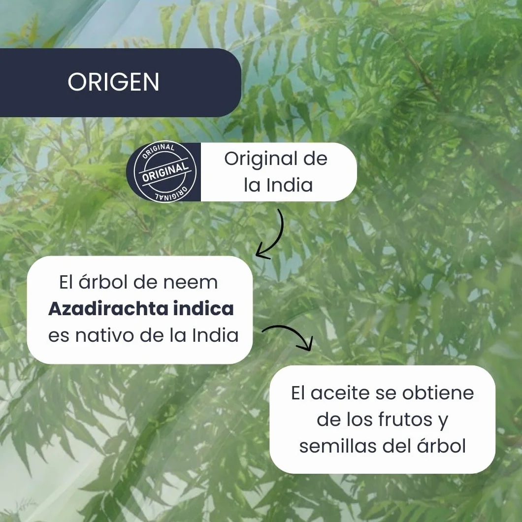 PLANTAWA Olej Neem 2 litry Naturalne pochodzenie z drzewa Azadirachta