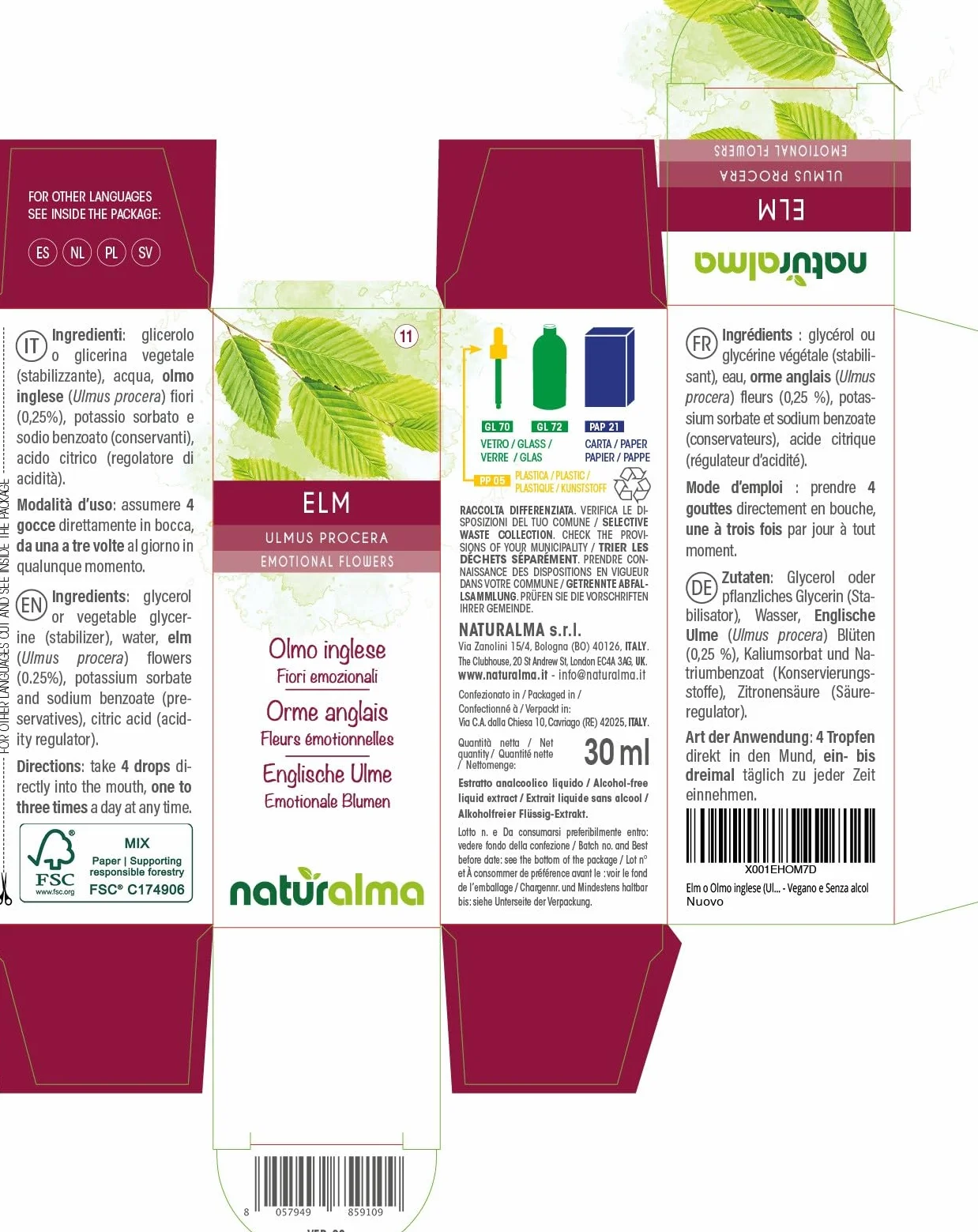 Elm lub Wiąz angielski (Ulmus procera) Kwiaty emocji lub Kwiaty Bacha Naturalma - Krople 30 ml - Płynny ekstrakt bezalkoholowy - Esencje kwiatowe - Wegański