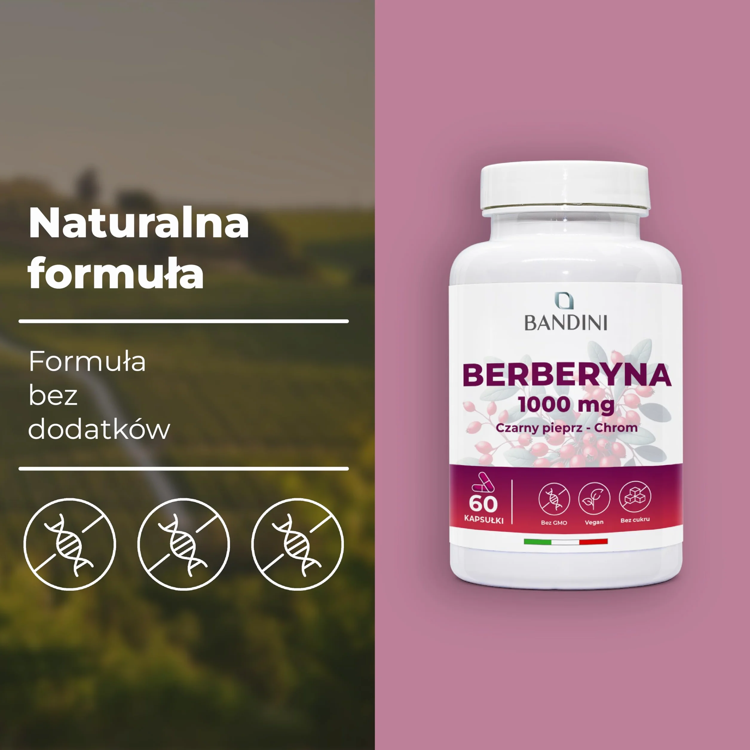 Bandini Berberine 1000mg 60 kapsułek Czysta Berberyna HCl Chrom Czarny Pieprz