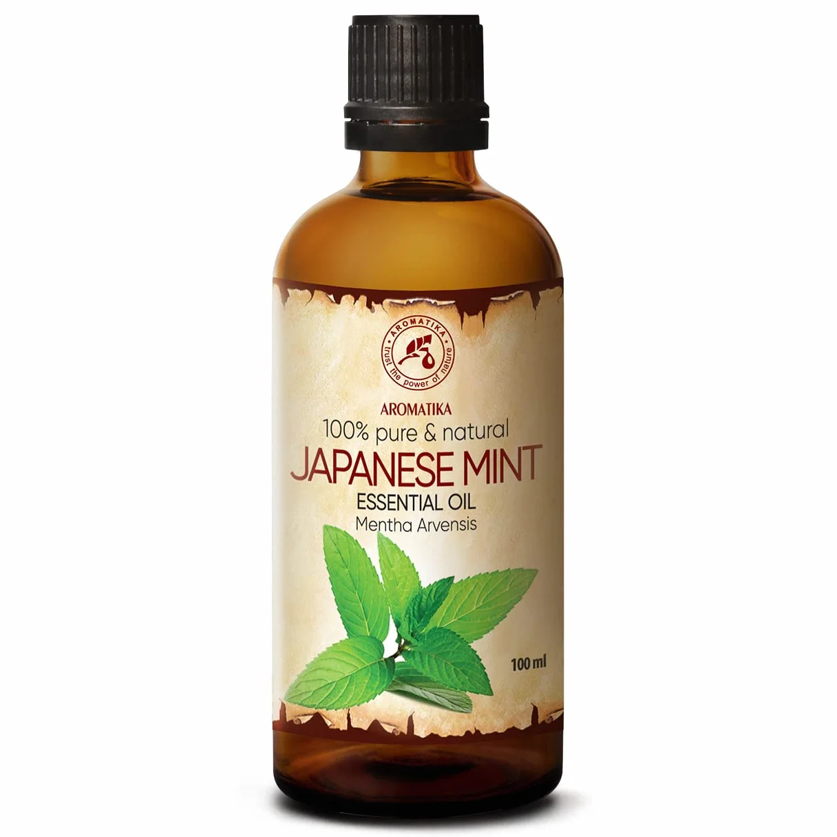 Japanese Mint Oil 100ml - 100% Pure i Natural Mentha Arvensis - Do Aromaterapii, Sauny, Rozpylacz Aromatów i Lampki Zapachowe - Najlepsze dla Pięknia włosów i ciała