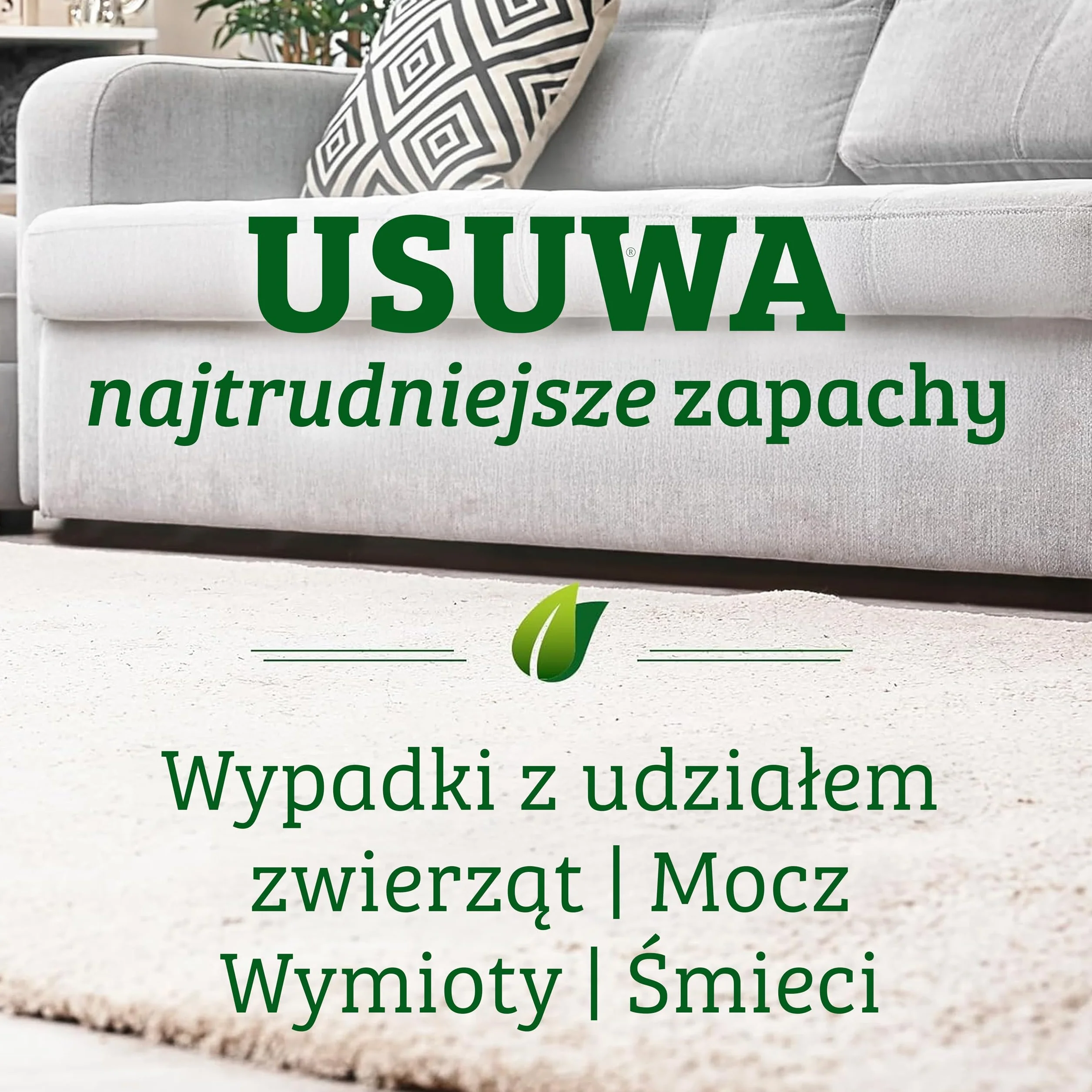 Biokleen Bac-Out - Roztwór do czyszczenia dywanów - enzymatyczny środek do usuwania zapachów i plam - 3,8 Litra