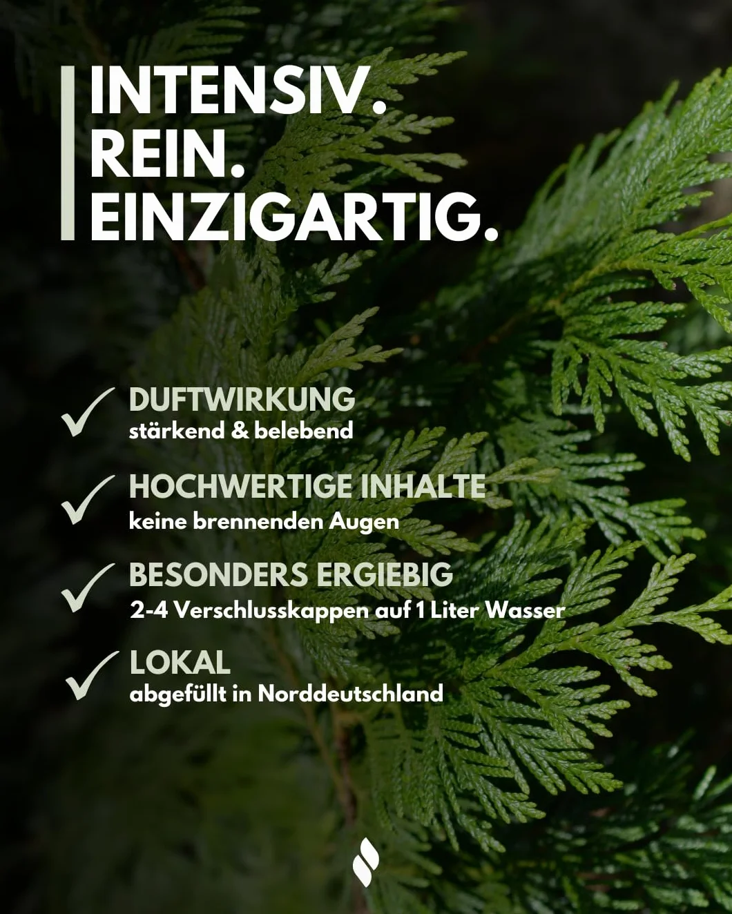 frihed.® Napar do sauny premium z aplikacją do medytacji, środek do zaparzania wszystkich rodzajów sauny, długotrwały zapach sauny, bardzo wysokiej jakości olej, pomysł na prezent (Aura Vibe, 100 ml)
