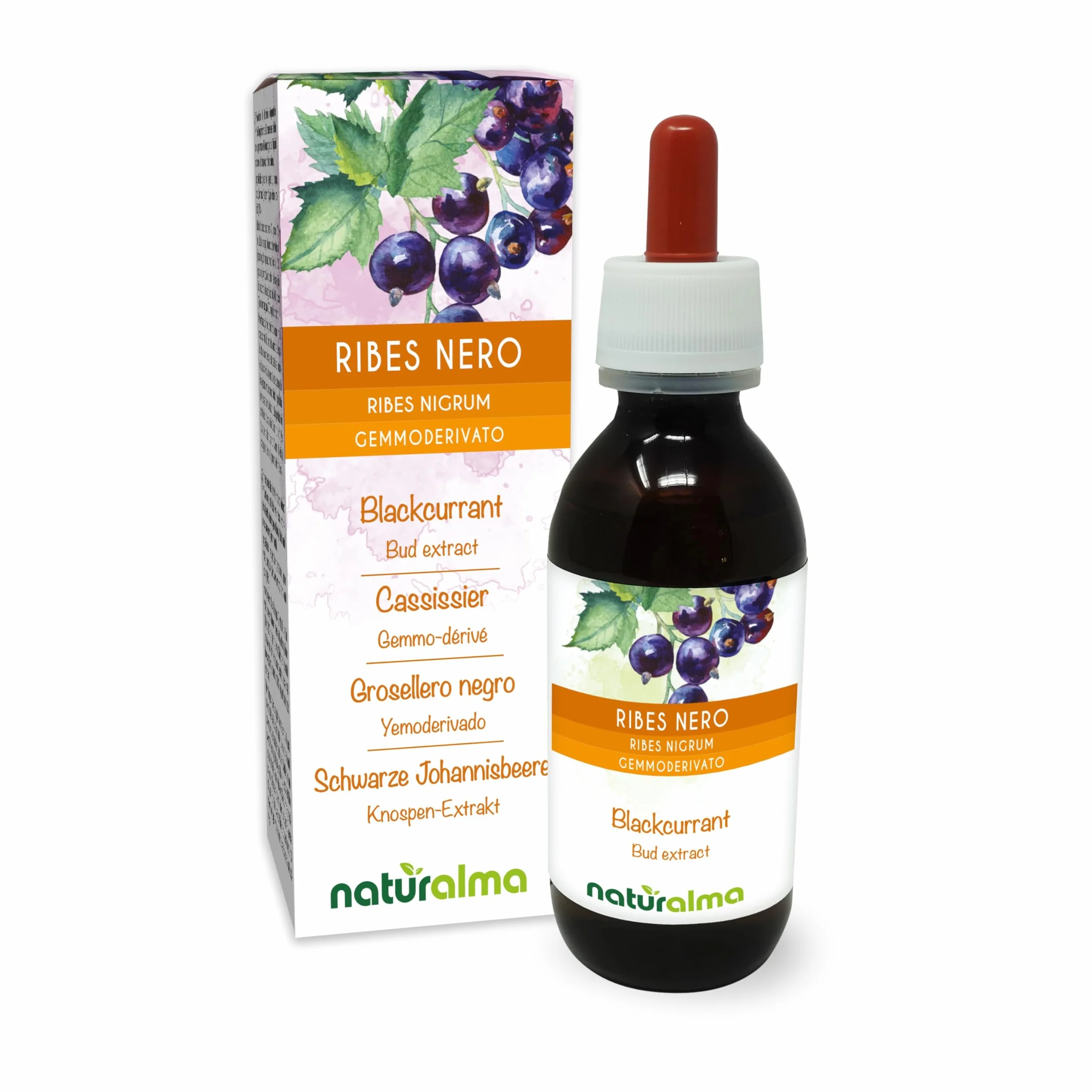 Porzeczka czarna ekstrakt z pączków Naturalma płynny 120 ml suplement diety wegański