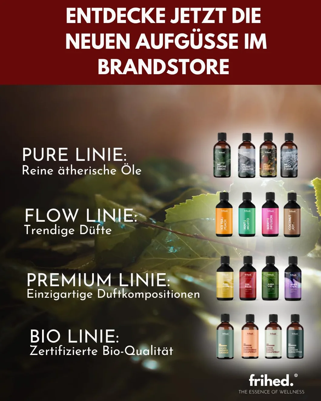 frihed.® Napar do sauny Winter Nights 100 ml – cynamon, anyż gwiazdkowy, olej z pieczonego jabłka – edycja limitowana