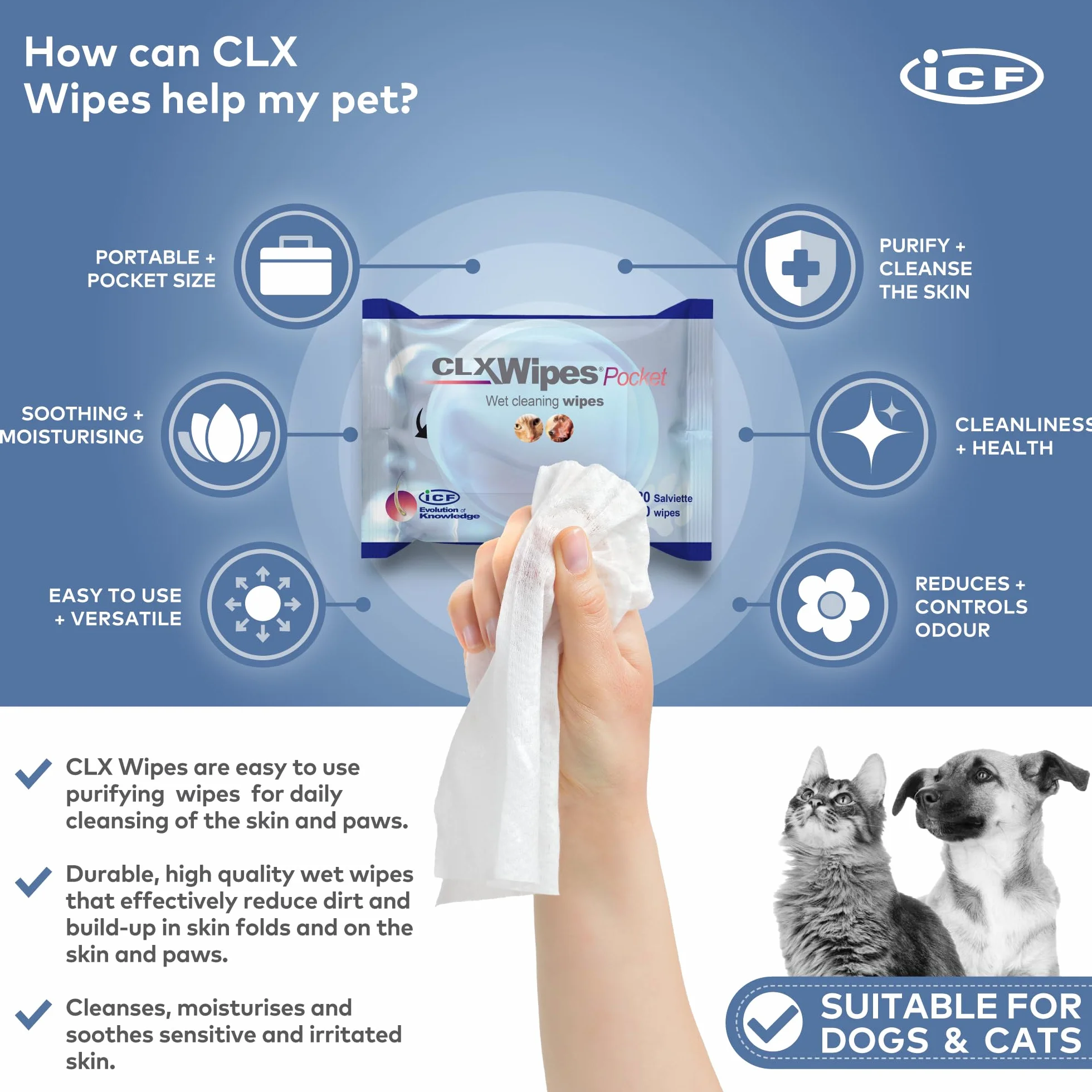 CLX WIPES POCKET 20 SZTUK