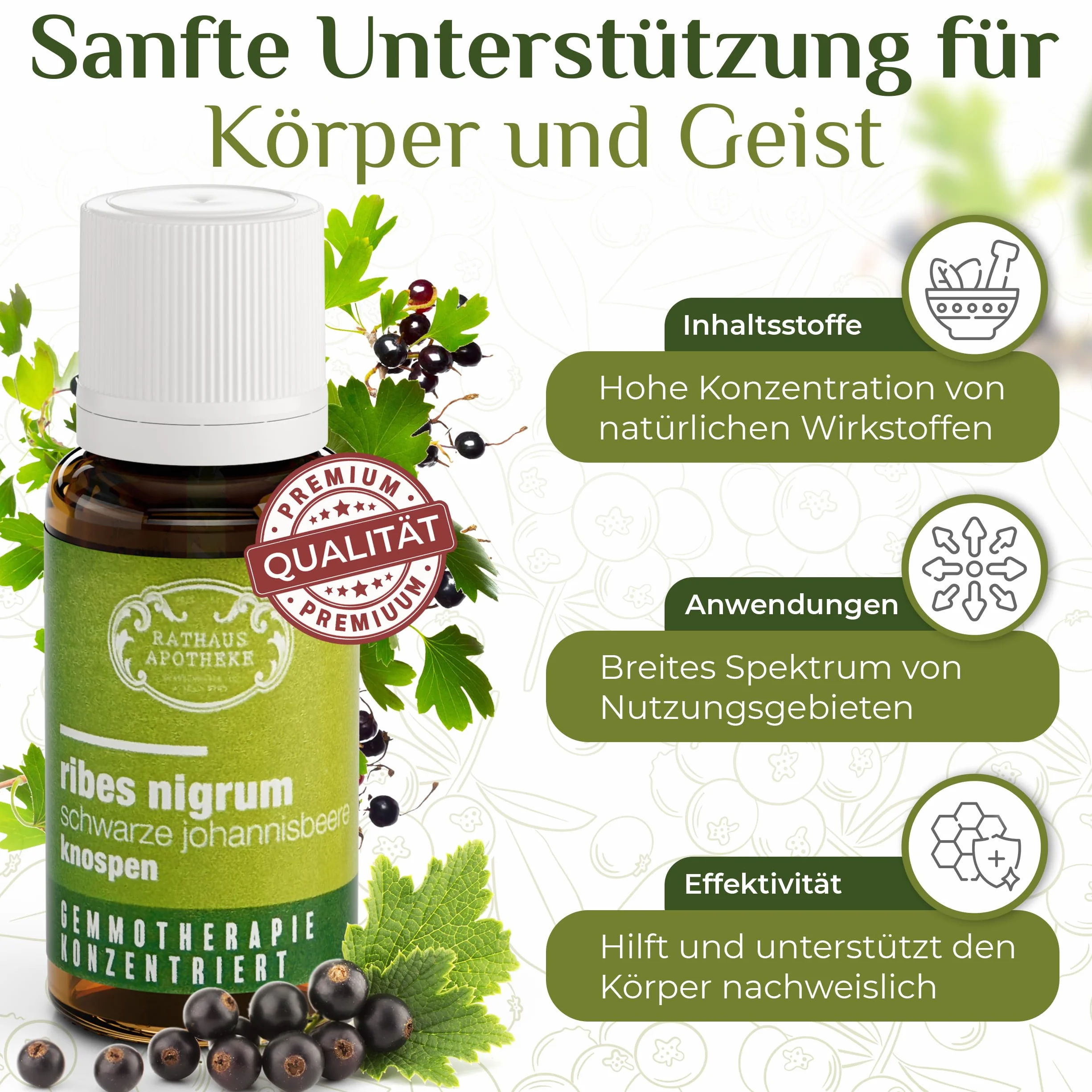 Skoncentrowany ekstrakt z pąków Ribes nigrum czarna porzeczka gemoterapia 15 ml