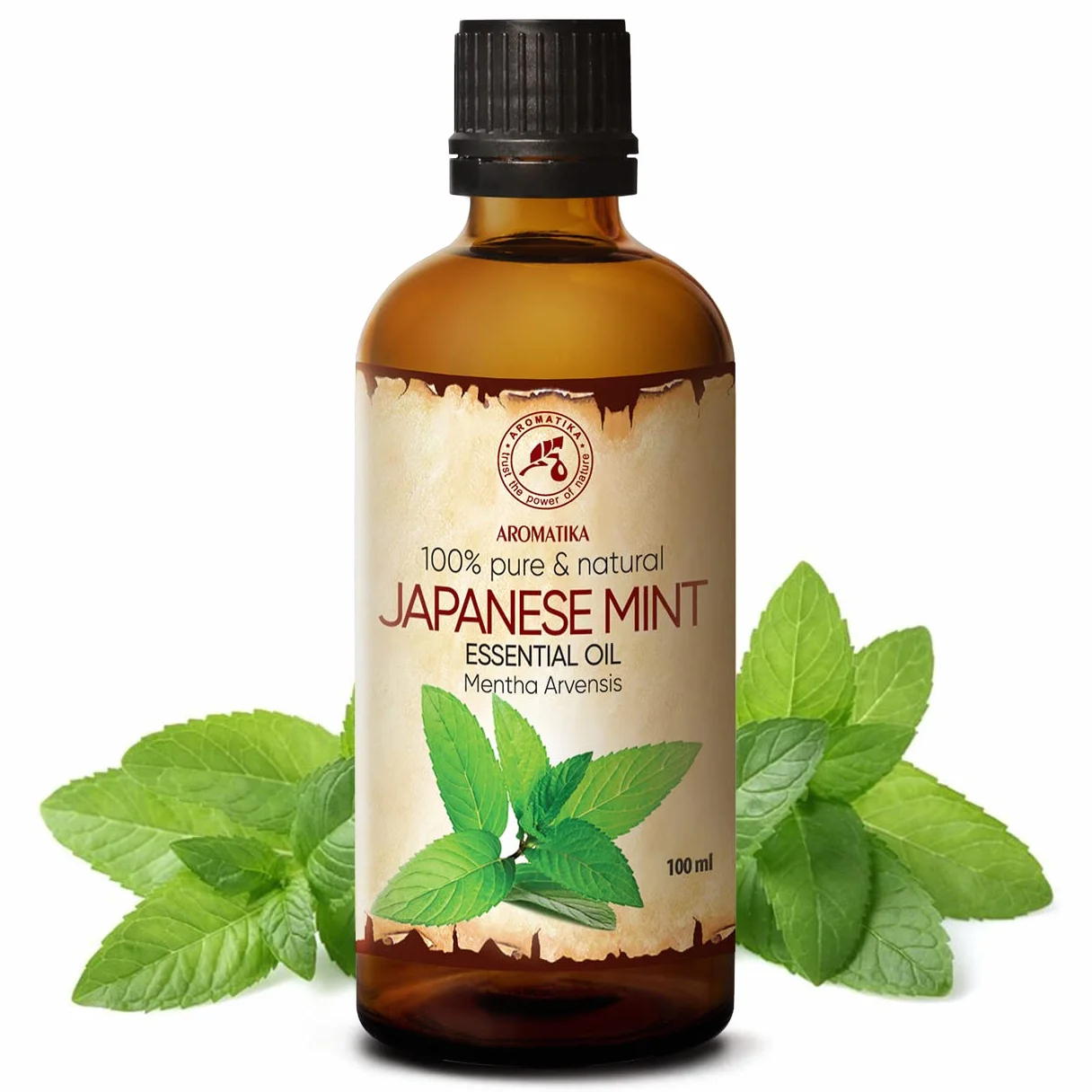 Japanese Mint Oil 100ml - 100% Pure i Natural Mentha Arvensis - Do Aromaterapii, Sauny, Rozpylacz Aromatów i Lampki Zapachowe - Najlepsze dla Pięknia włosów i ciała
