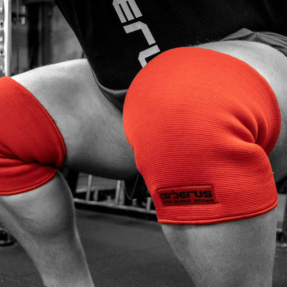 CERBERUS Strength Trójwarstwowe rękawy na kolana (para)