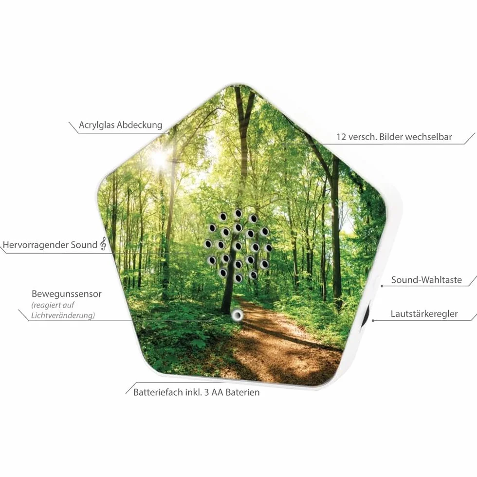 Olymp Sounds of Nature Box 3 sztuki, dźwięki natury do relaksu i odpoczynku, soundbox ze śpiewem ptaków, szeptem strumienia, łóżkami górskimi, hałasem morza, pozytywką z czujnikiem ruchu i regulacją