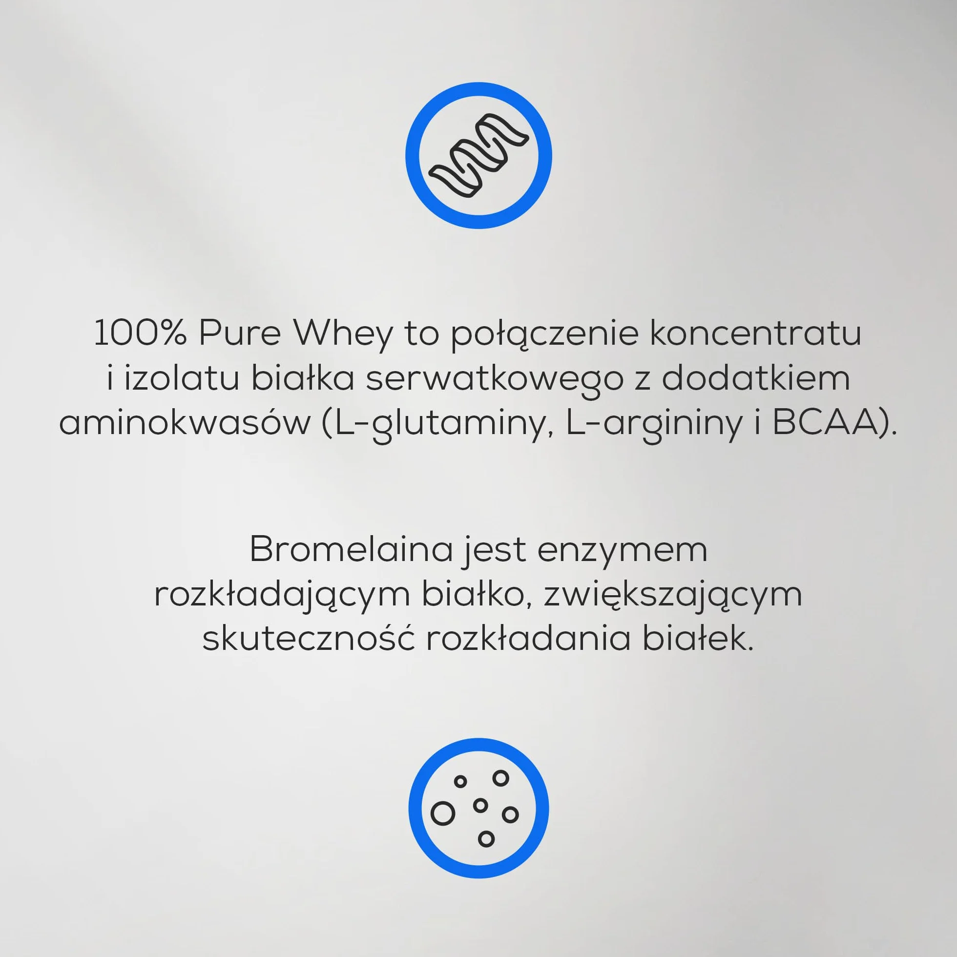 BioTechUSA 100% Pure Whey | Białko w proszku z BCAA i glutaminą | Bezglutenowe, bez oleju palmowego | 21g białka w porcji, 1 kg, Czekoladowe Masło Orzechowe