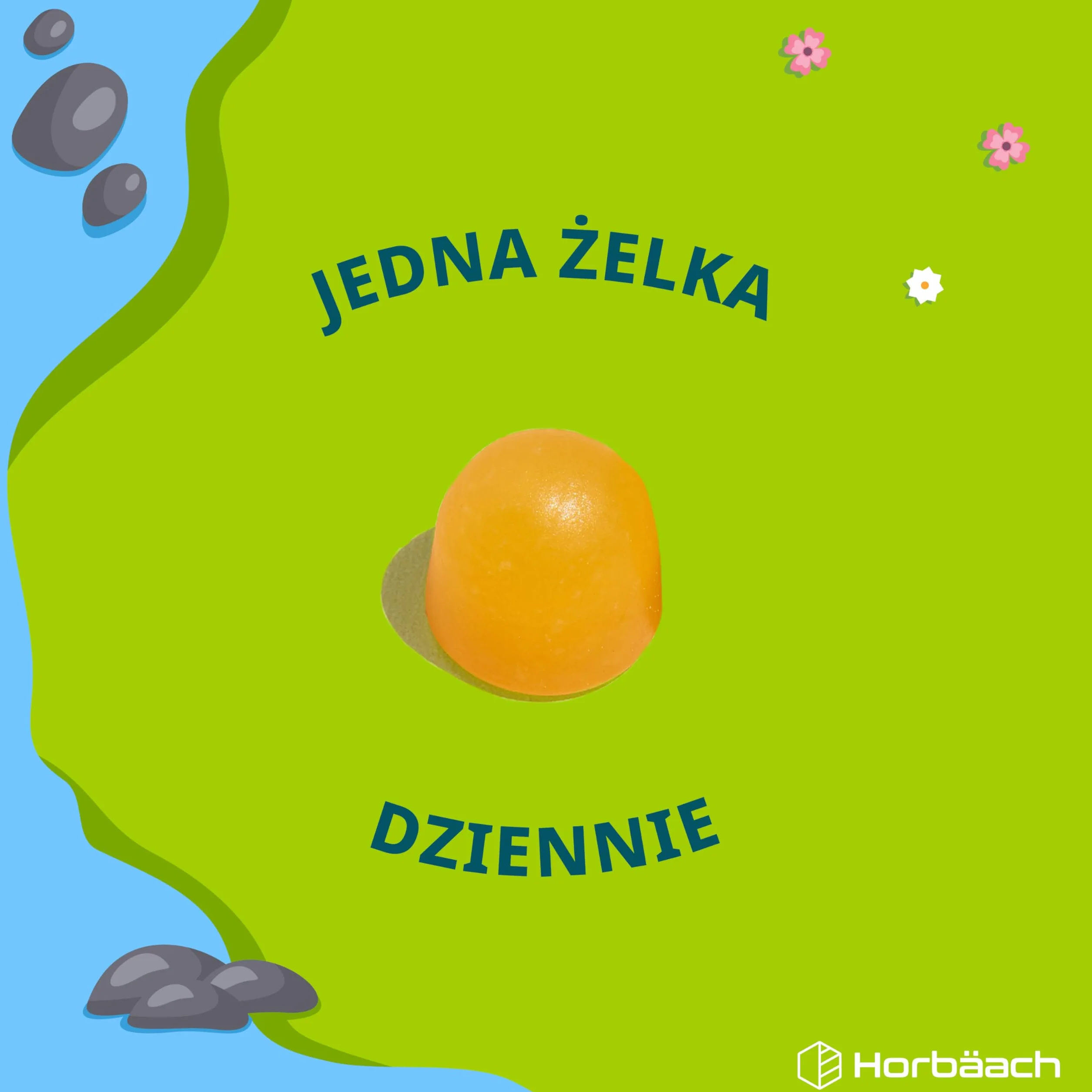 Witamina B Żelki dla Dzieci 60 Żelek Horbaach – Kompleks Witamin B12, B6, B1, B2, B3, B5, Biotyna, Kwas Foliowy, Cynk, Jod