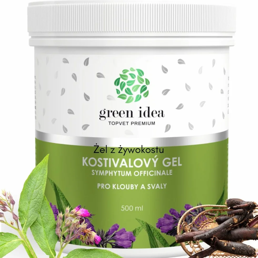 Green Idea Żywokost lekarski żel do masażu 500 ml na bóle stawów, mięśni i artretyzm