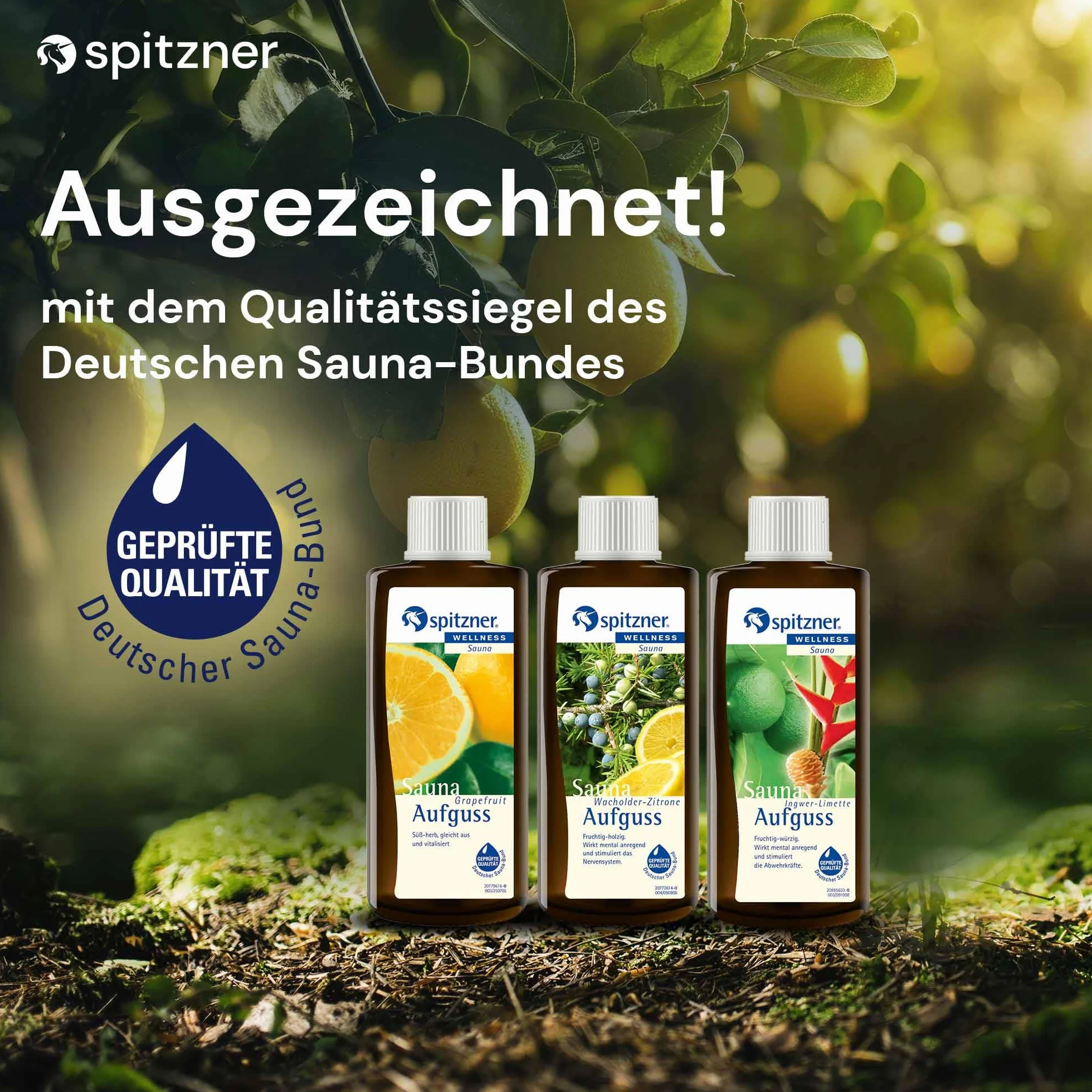 Spitzner Zestaw do zaparzania sauny Vital & Mocny 3 x 190 ml naturalny olejek grejpfrut jałowiec limonka imbirowa
