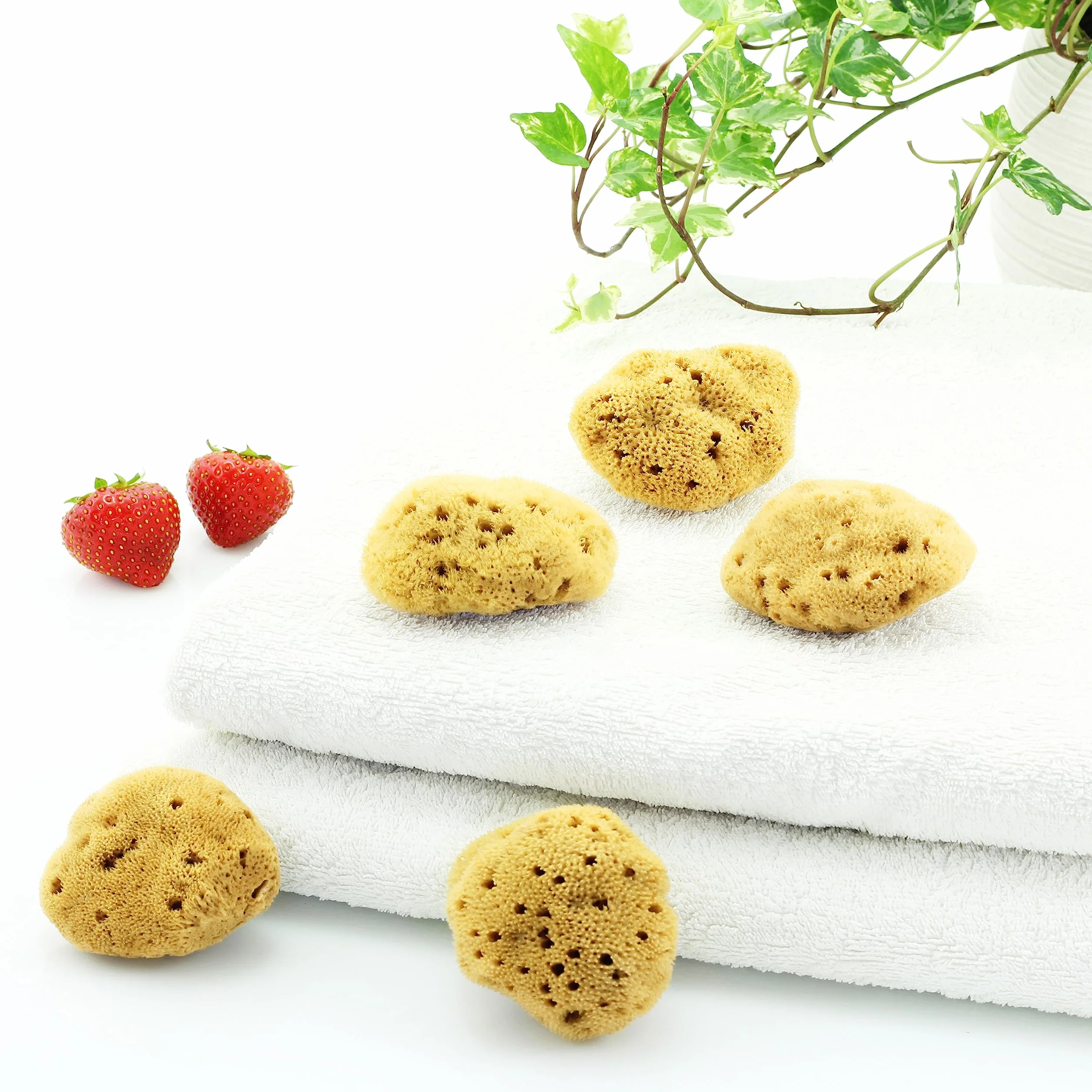 tom&pat® Naturalna gąbka menstruacyjna • alternatywa dla tamponów • wielokrotnego użytku zmywalna • Dermatest doskonały • pojemnik podróżny • jakość premium Grecja (Roz. M, 5 x 5-7 cm)