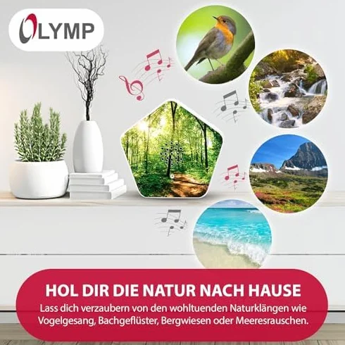 Olymp Sounds of Nature Box - naturalne dźwięki relaksu, śpiew ptaków, szum morza, pozytywka z czujnikiem ruchu