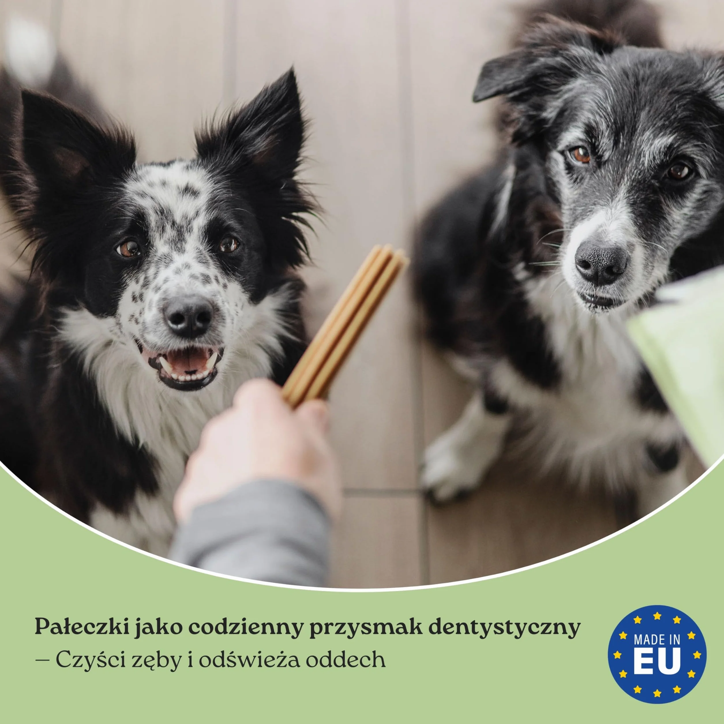 Luxx Dentystyczne Przysmaki dla Psów – Bezzbożowe Gryzaki z Białkiem z Owadów, Miętą & SHMP – 7 Super Premium Smakołyków (250g)