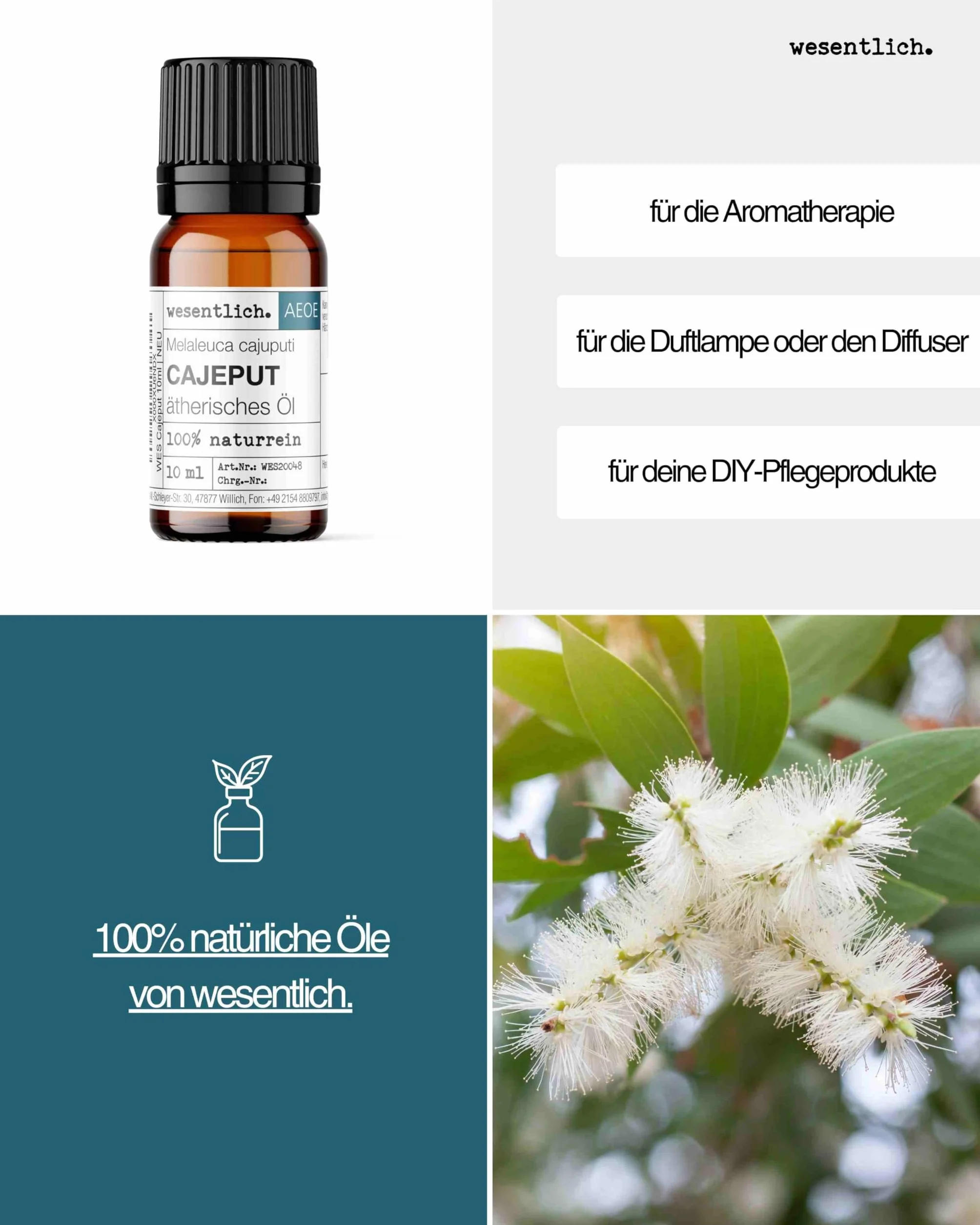 Cajeputöl - reines ätherisches Öl von wesentlich. - 100% naturrein aus der Glasflasche (10ml)
