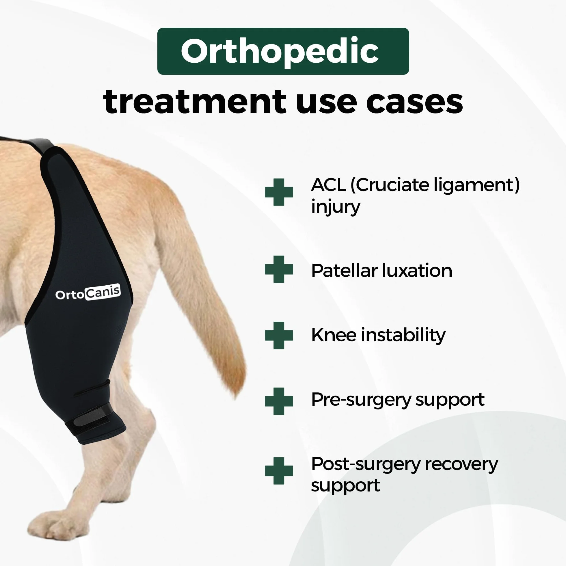 Ortocanis Ochraniacz na kolana dla psa neopren ARD rozmiar XL 37-41 cm