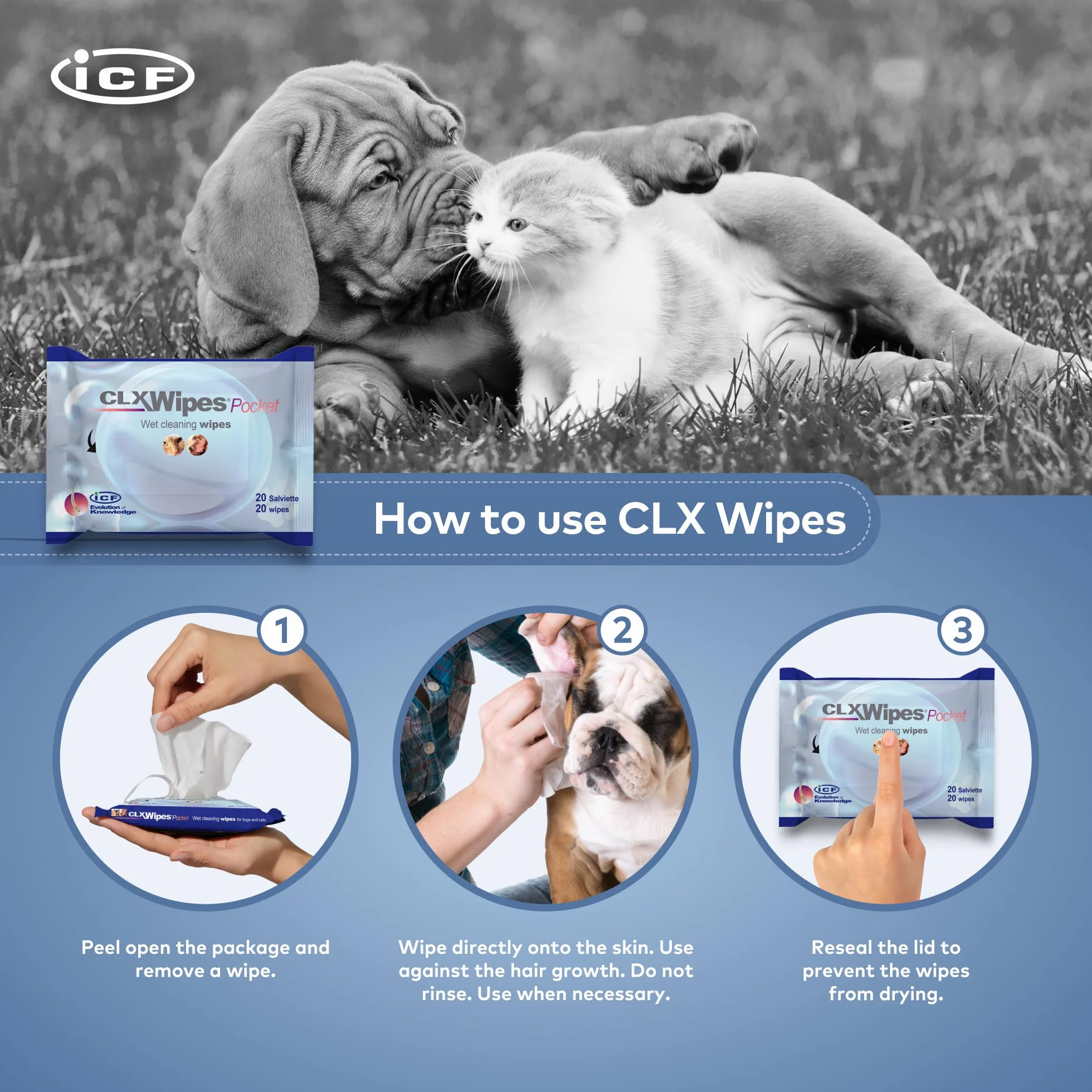 CLX WIPES POCKET 20 SZTUK