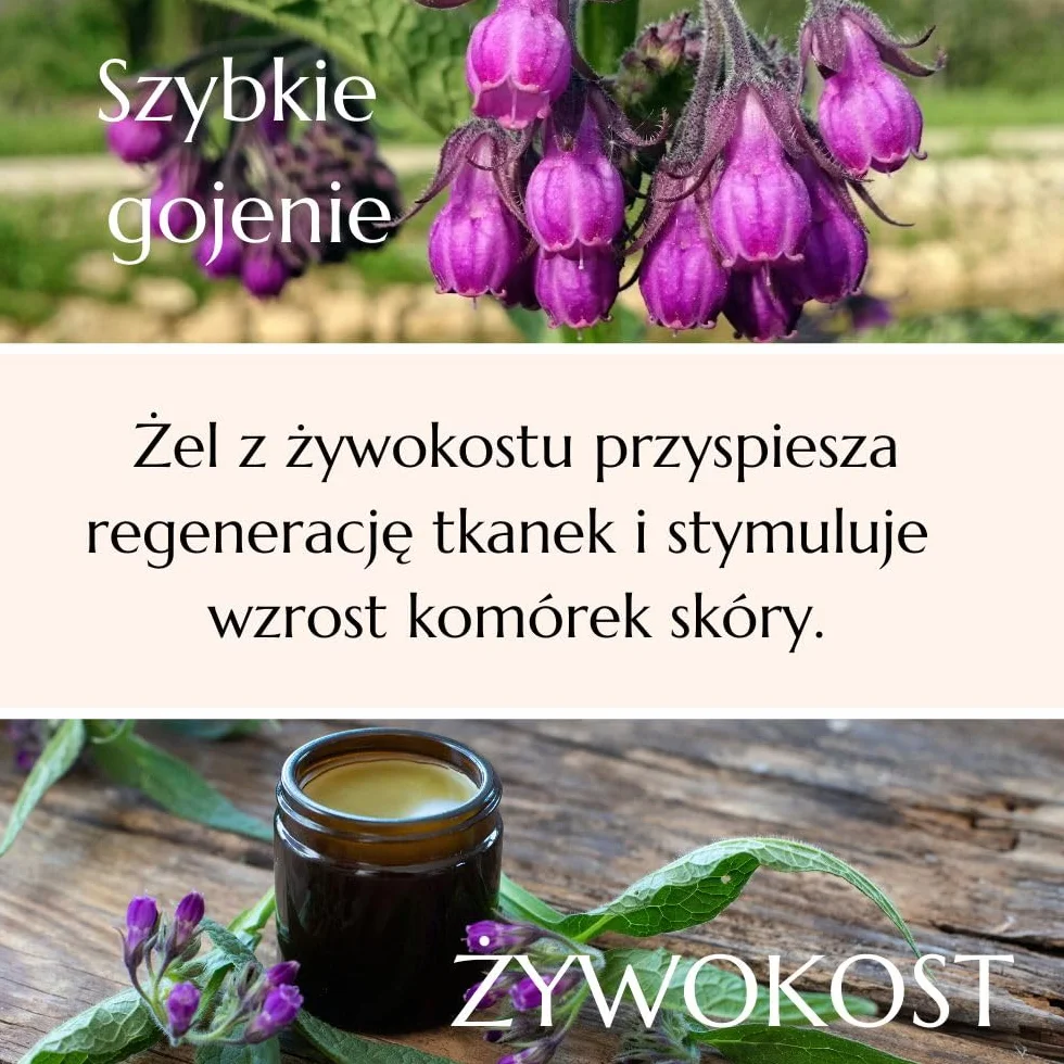 Green Idea Żywokost lekarski żel do masażu 500 ml na bóle stawów, mięśni i artretyzm