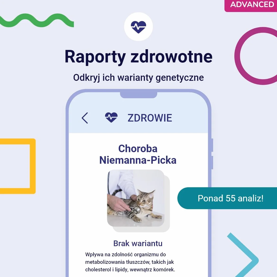 Test DNA dla Kotów Advanced Koko Genetics - 150 Raporty Ras, Zdrowotne i Cech