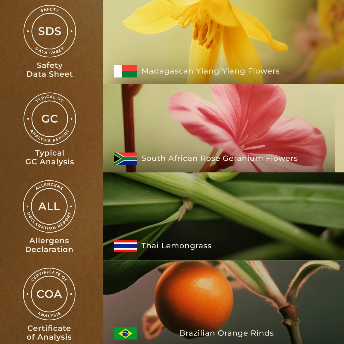 Olejki eteryczne Gya Labs Stress Relief do dyfuzora - 100% czyste olejki eteryczne klasy terapeutycznej do aromaterapii - Naturalne olejki łagodzące stres do relaksu, ukojenia i bólu głowy (10 ml)