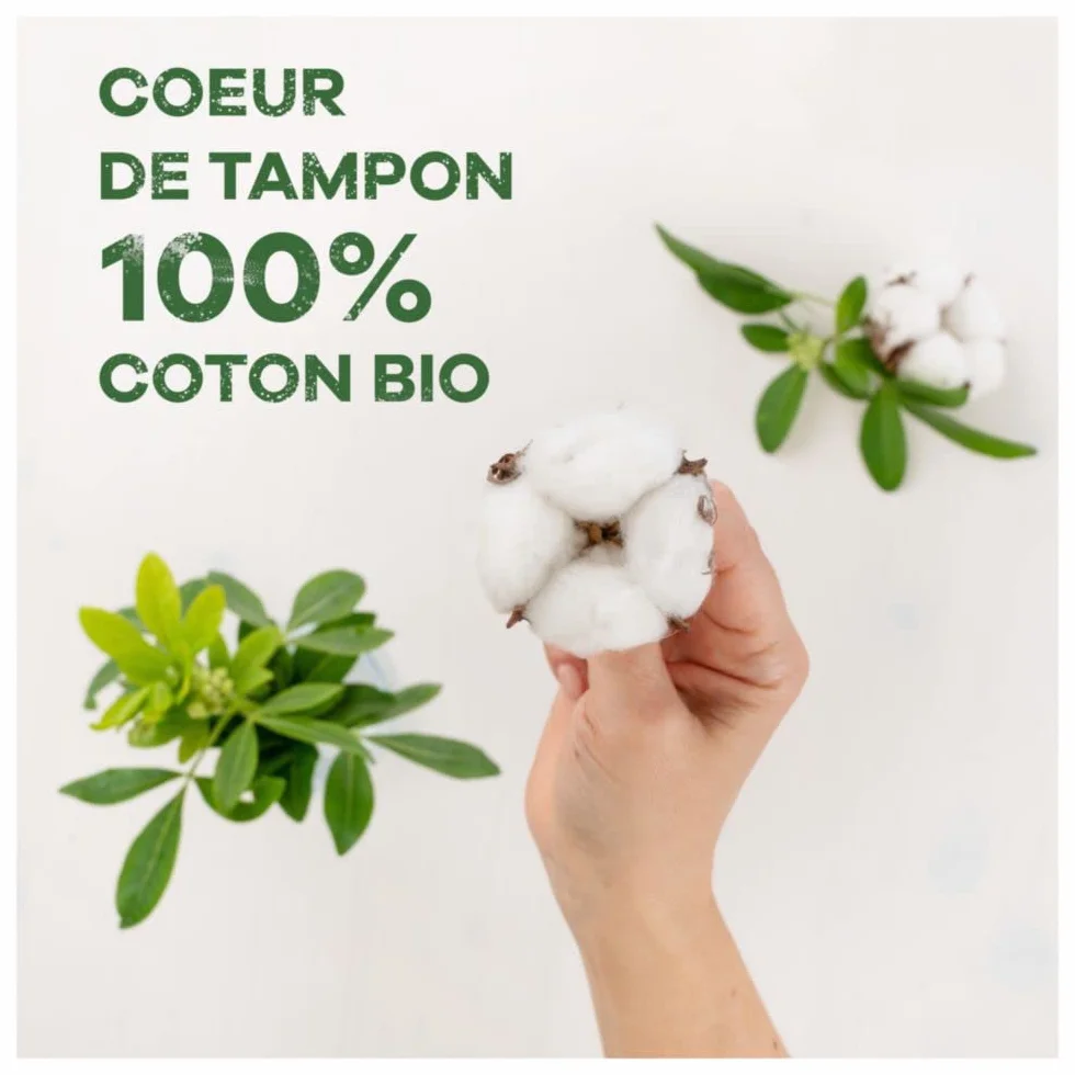 Tampax Komfort Bawełny 100% Organiczny Zwykły Tampon 16 Sztuk