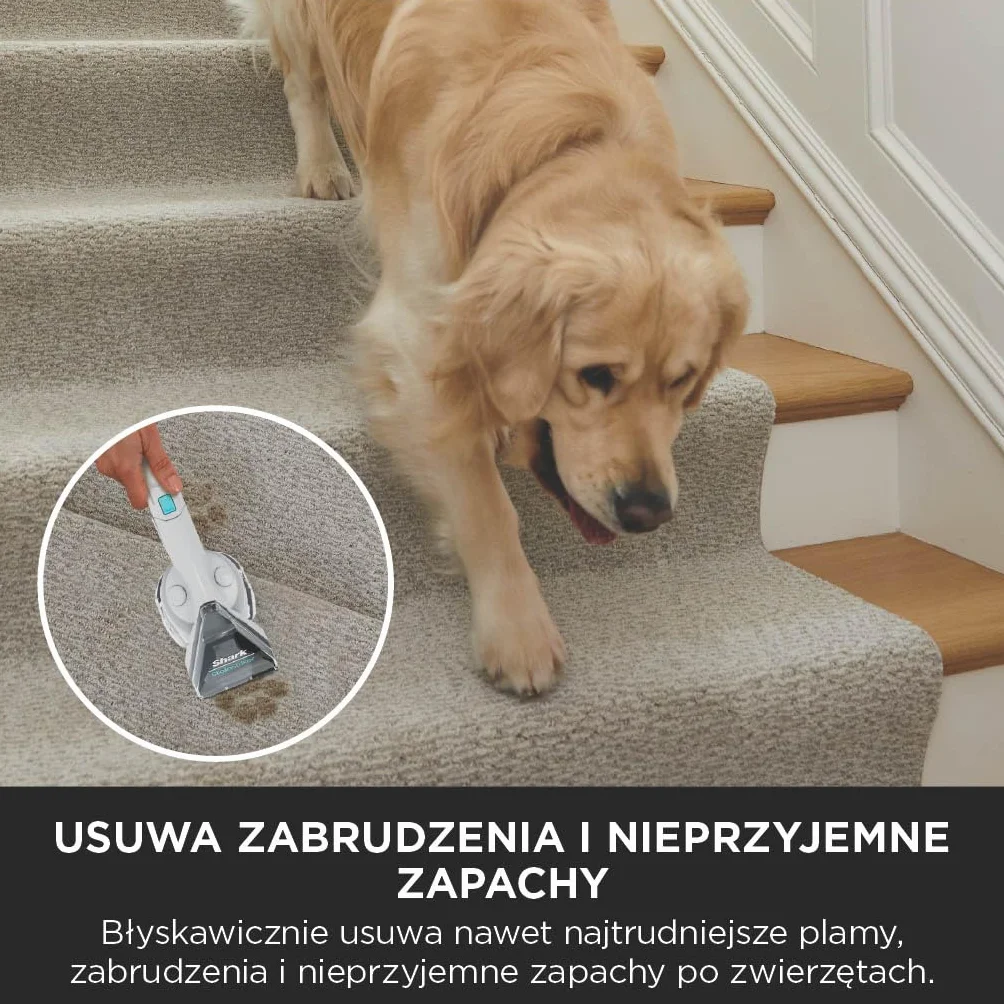 Shark StainStriker PX200EUT odkurzacz do usuwania plam 450W 5 końcówek