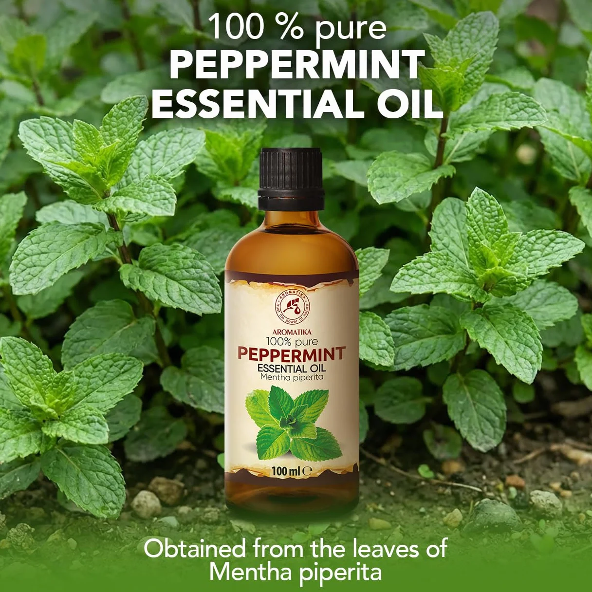 Olejek Eteryczny Z Mięty Pieprzowej 100 ml - Mentha Piperita - Aromaterapia