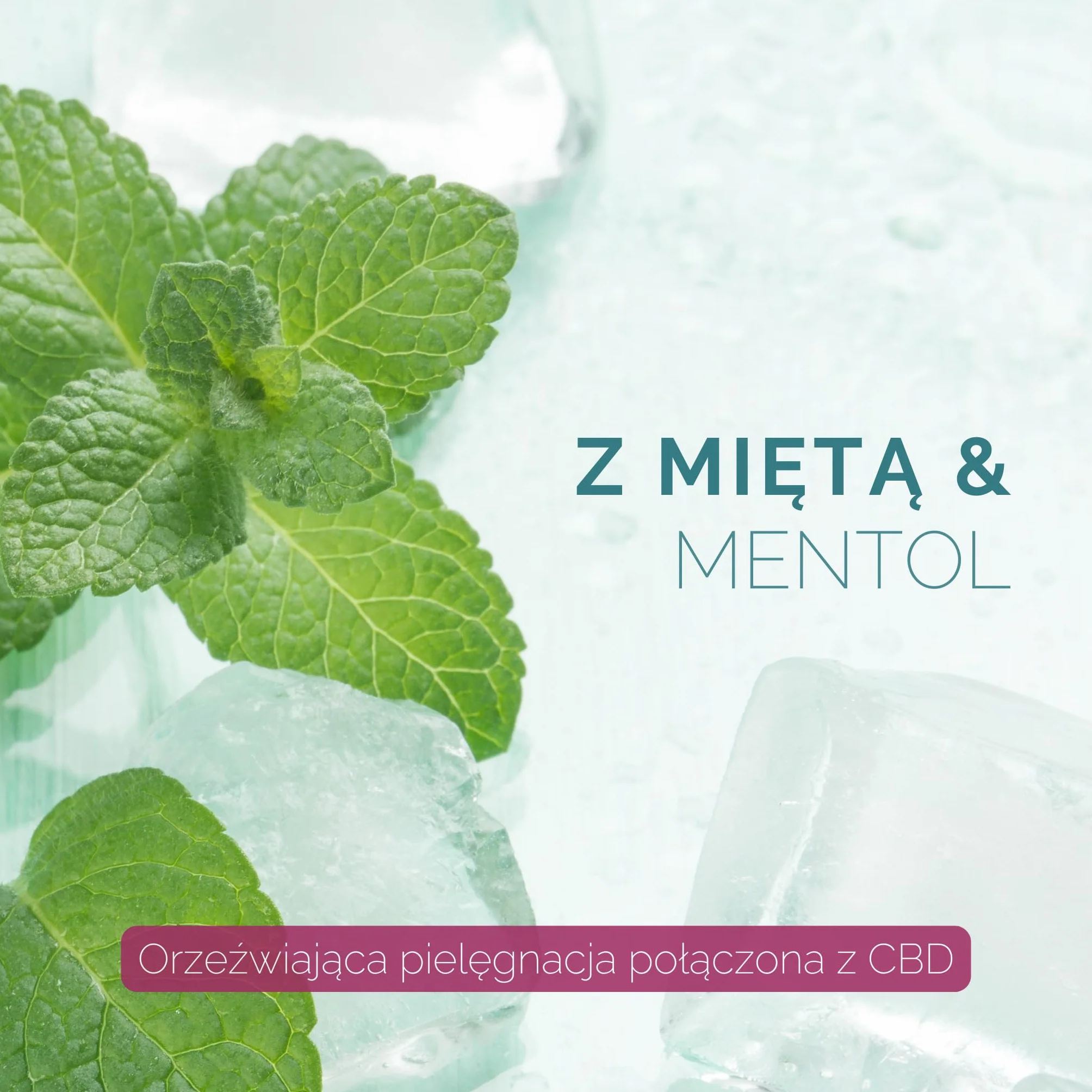"Canna Creme" CBD Gel 1425 mg – żel chłodzący z miętą i mentolem – pielęgnacja mięśni i stawów, wspomaga regenerację i regenerację