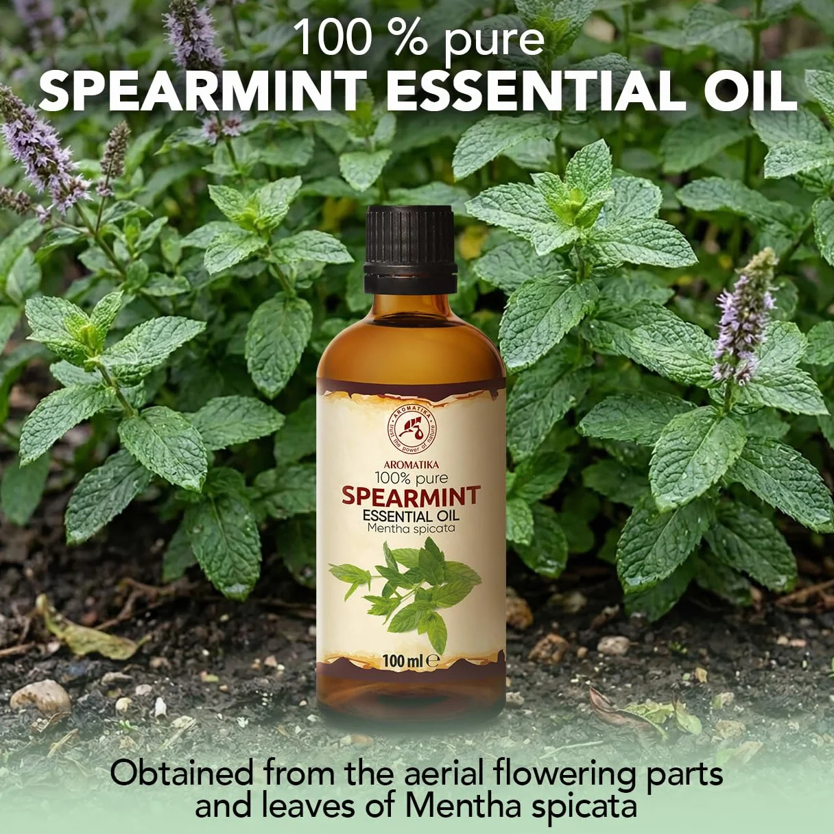 Spearmint Essential Oil 100ml - Mentha Spicata - 100% Natural - Good for Relax - Calming - Good Night - Home Fragrances - Beauty - SPA - Diffuser - Aroma Lamps