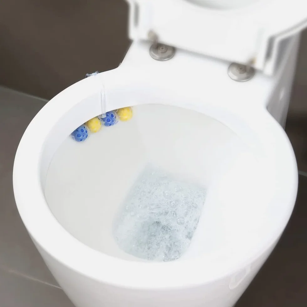 Bref Power Aktiv Zawieszka WC Sosna Zestaw 1x50g 10szt