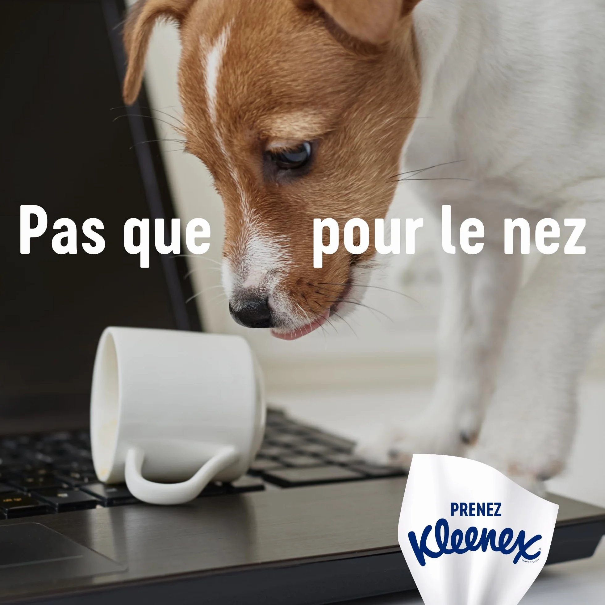 KLEENEX Rodzinne chusteczki maxi-pack 15 pudełek 128 chusteczek
