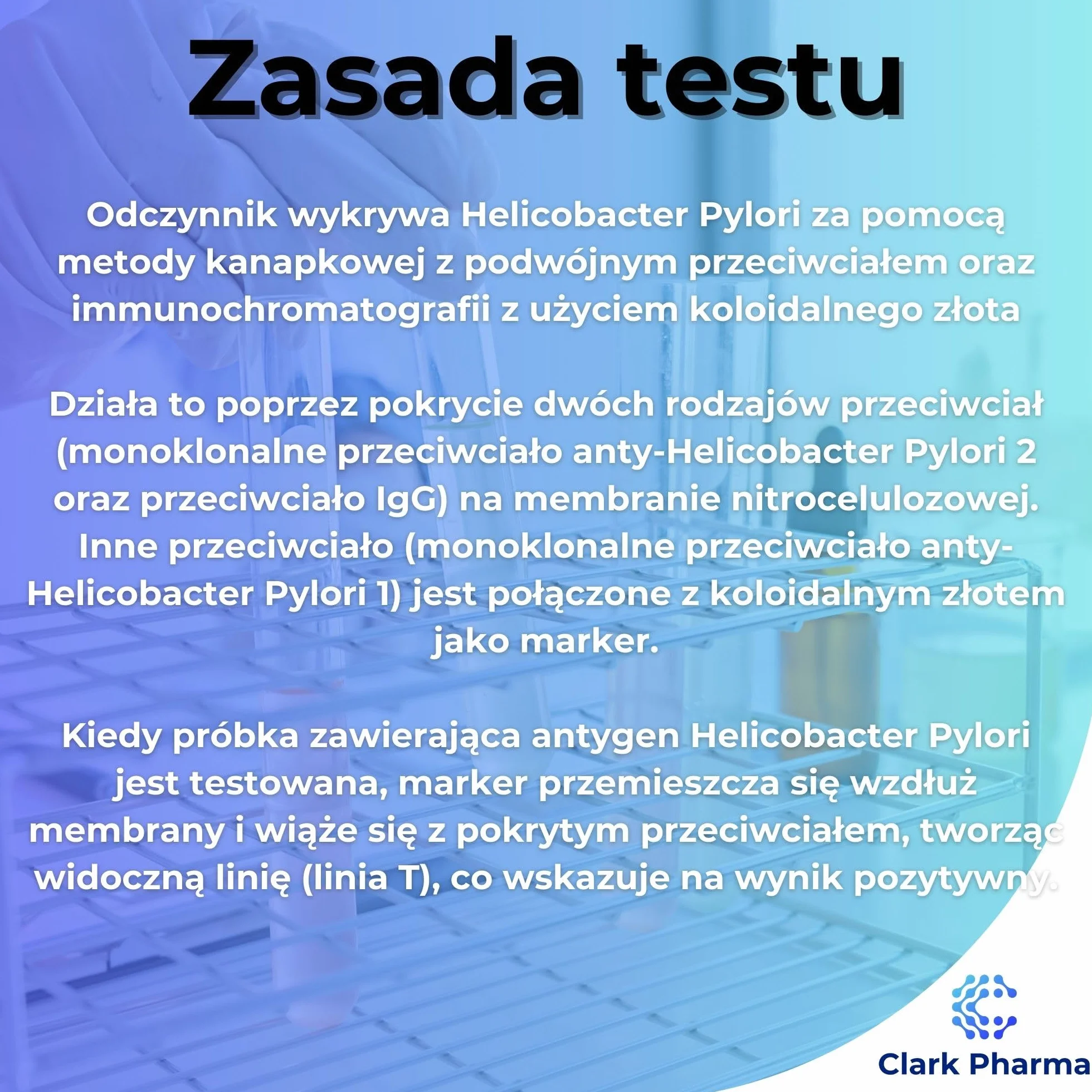 Testy na Wrzody Żołądka H. Pylori | Test Stolca na Zakażenie Helicobacter Pylori