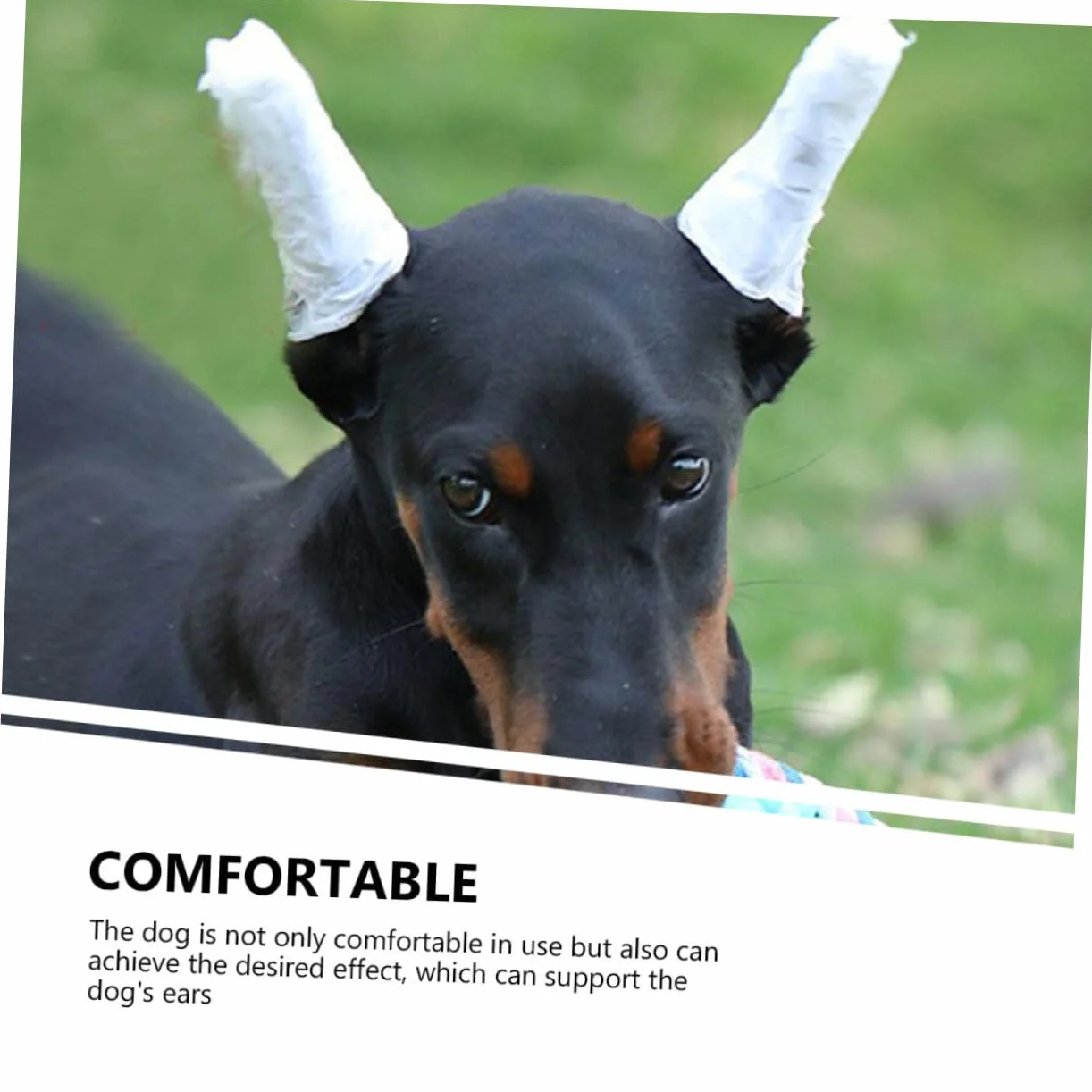 1 Zestaw Doberman Pinczer Nauszniki Zestaw Do Pozycjonowania Uszu Psa Wsparcie Dla Stojaka Na Uszy Szczeniaka Wsparcie Dla Uszu Psa Stojak Na Uszy Pręty Pinczery Psy Zestaw Do
