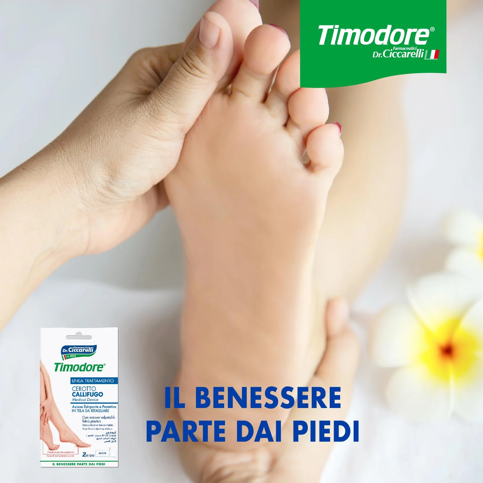 Timodore Płótno Callifughi plastry do przycinania