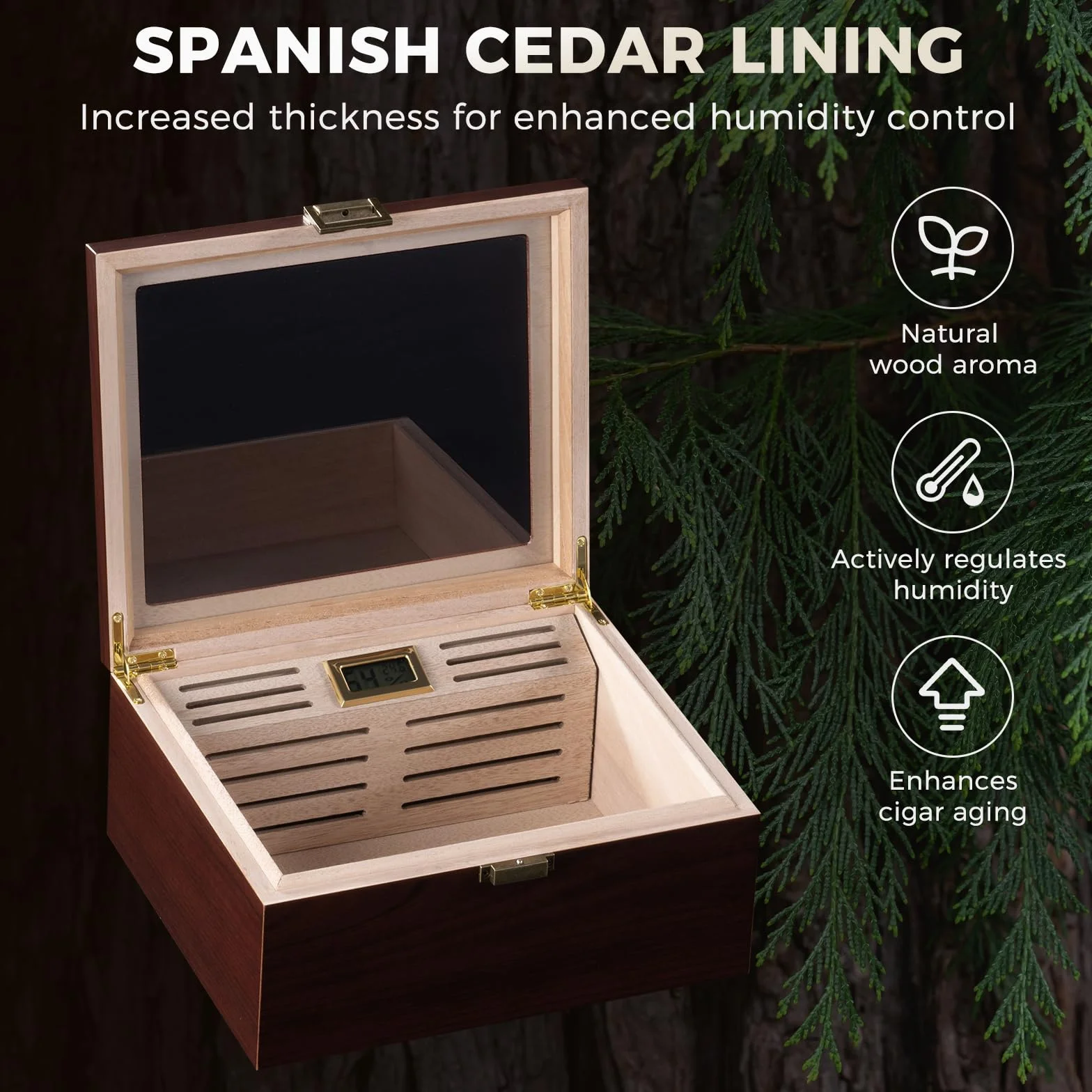 ProCase Humidor do cygar z drewna cedrowego, cyfrowy higrometr, szklany blat, duży, brązowy