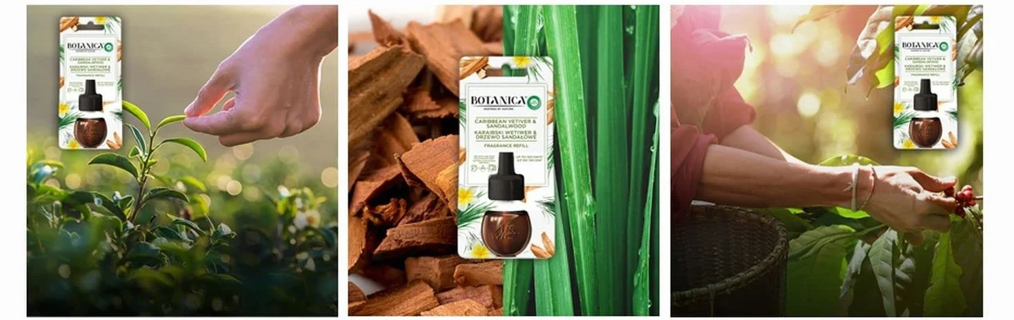 Botanica by Air Wick Karaibski Wetiwer & Drzewo Sandałowe/Caribbean Vetiver & Sandalwood 19ml Wkład