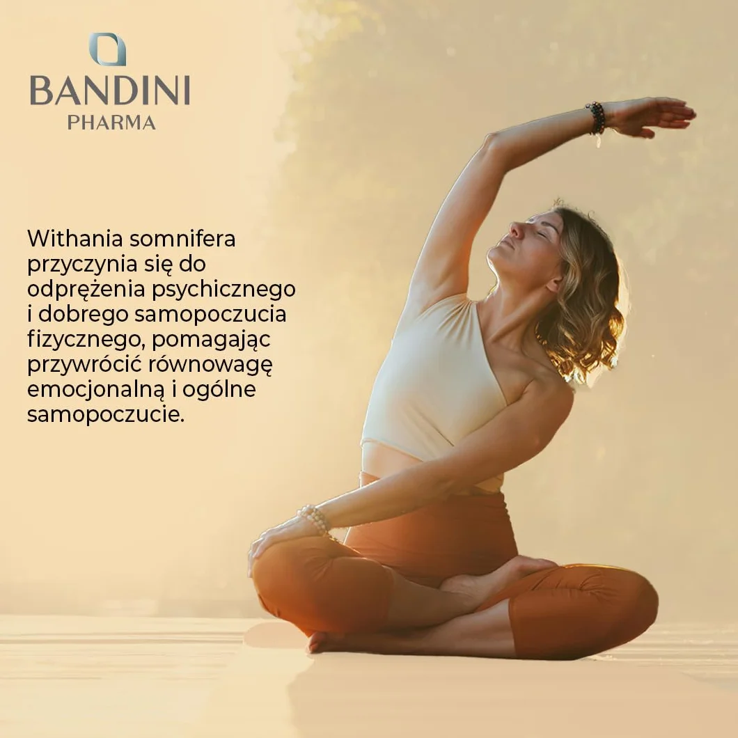 Bandini® Ashwagandha KSM-66® - 180 tabletek, 6 miesięcy - Withania Somnifera (indyjski żeń-szeń) - 5% witanolidów - Wegański ekstrakt z korzenia - Suplement o wysokiej mocy - Alternatywa dla kapsułek