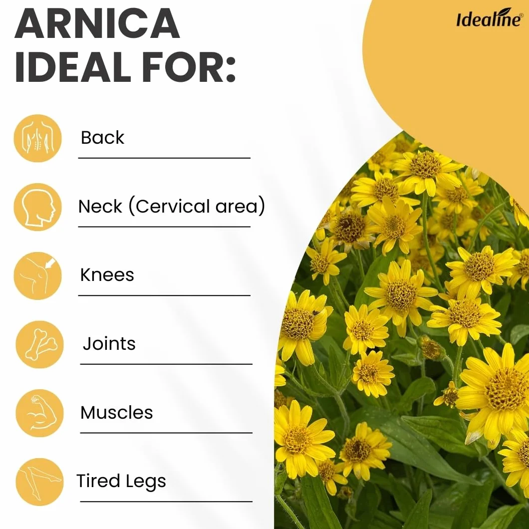 Arnica żel bardzo mocny 500 ml dla koni 100% czysty ekstrakt glikolowy z mięty pieprzowej