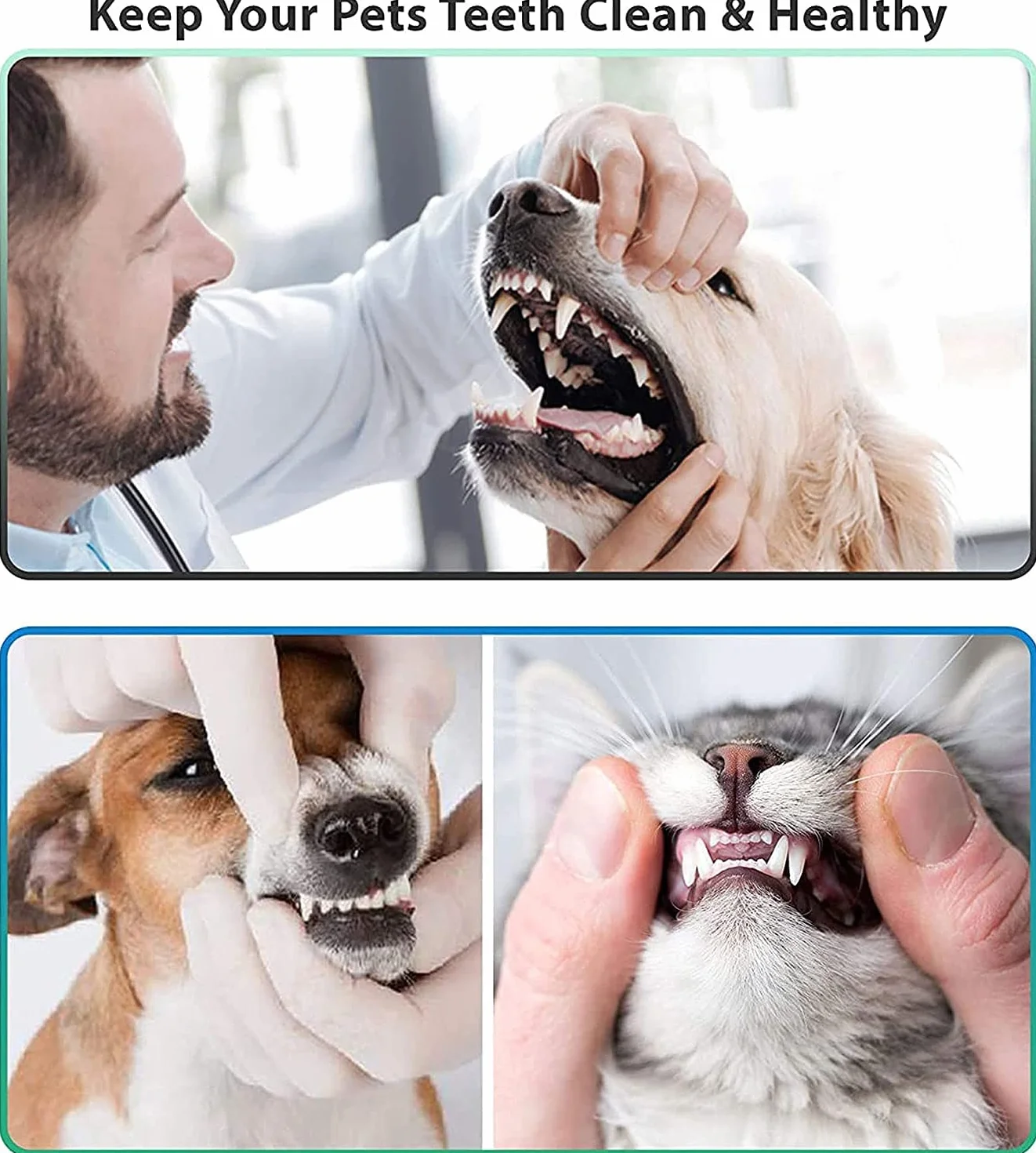 Dwugłowicowy skrobak do tatara skaler dentystyczny (idealny dla kotów i psów) narzędzie do czyszczenia zębów ze stali nierdzewnej