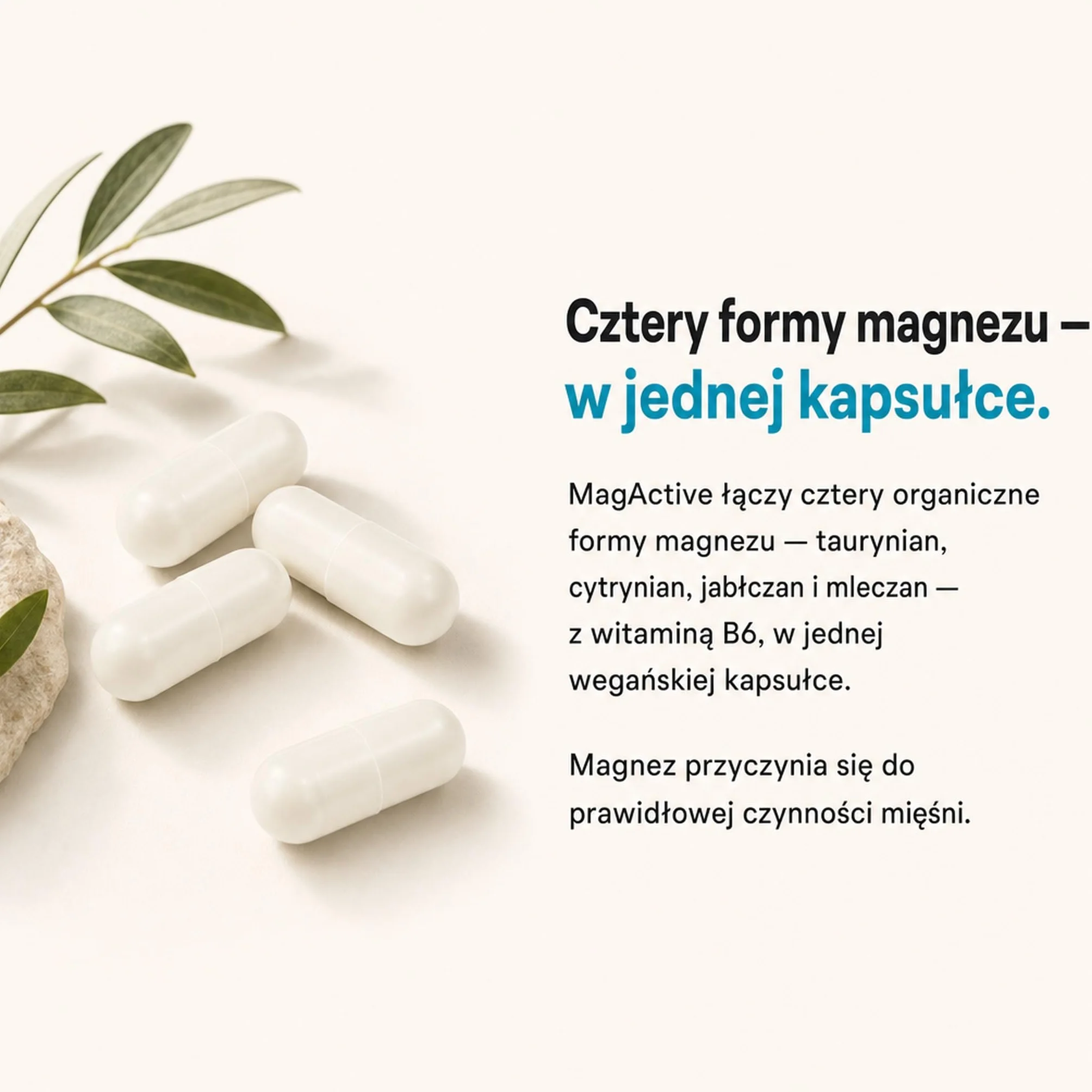 Magnez B6 – 4 Formy Organiczne: Taurynian, Cytrynian, Jabłczan, Mleczan – Przyczynia się do Prawidłowej Czynności Mięśni i Zmniejszenia Zmęczenia – Wegański, Bez Tlenku (90 Kapsułek)
