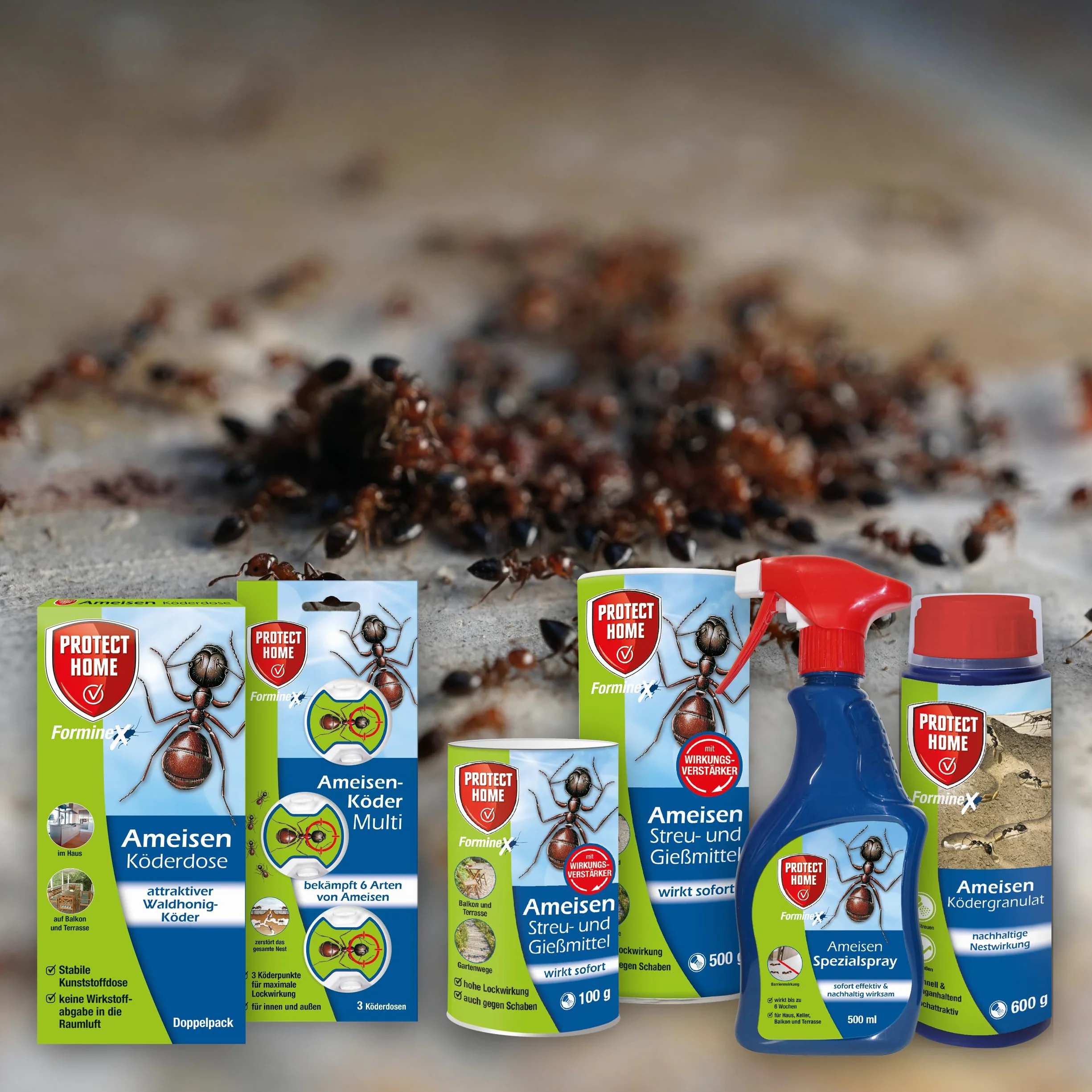 PROTECT HOME Specjalny spray do mrówek, natychmiastowe i długotrwałe działanie, do użytku wewnątrz i na zewnątrz, butelka z rozpylaczem 500 ml